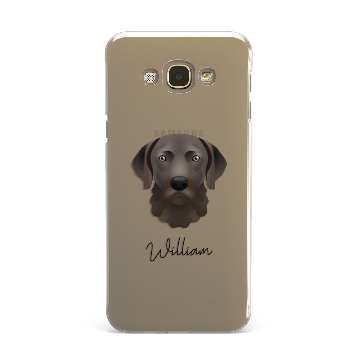 Chesapeake Bay Retriever Personalised Samsung Galaxy A8 Case