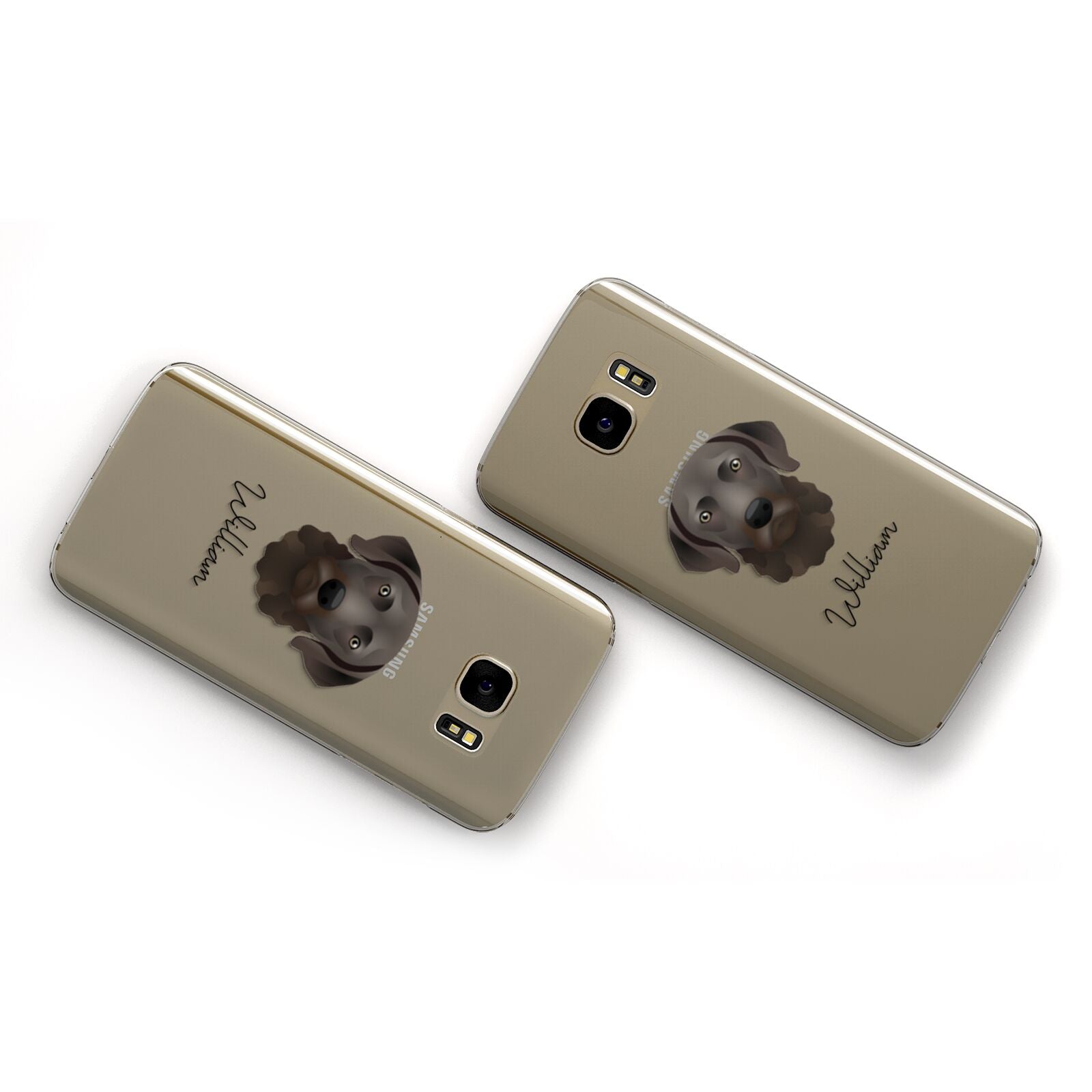 Chesapeake Bay Retriever Personalised Samsung Galaxy Case Flat Overview