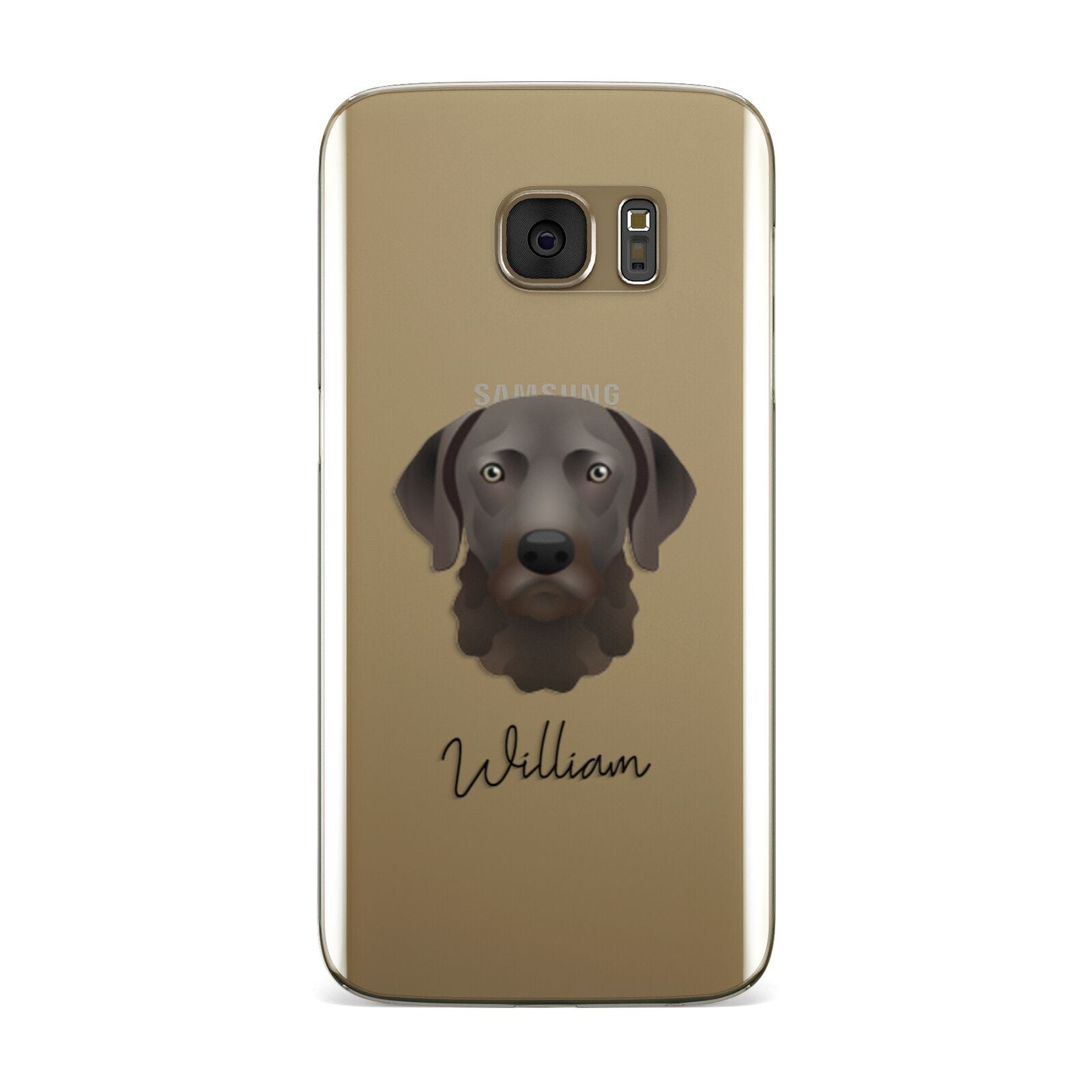 Chesapeake Bay Retriever Personalised Samsung Galaxy Case