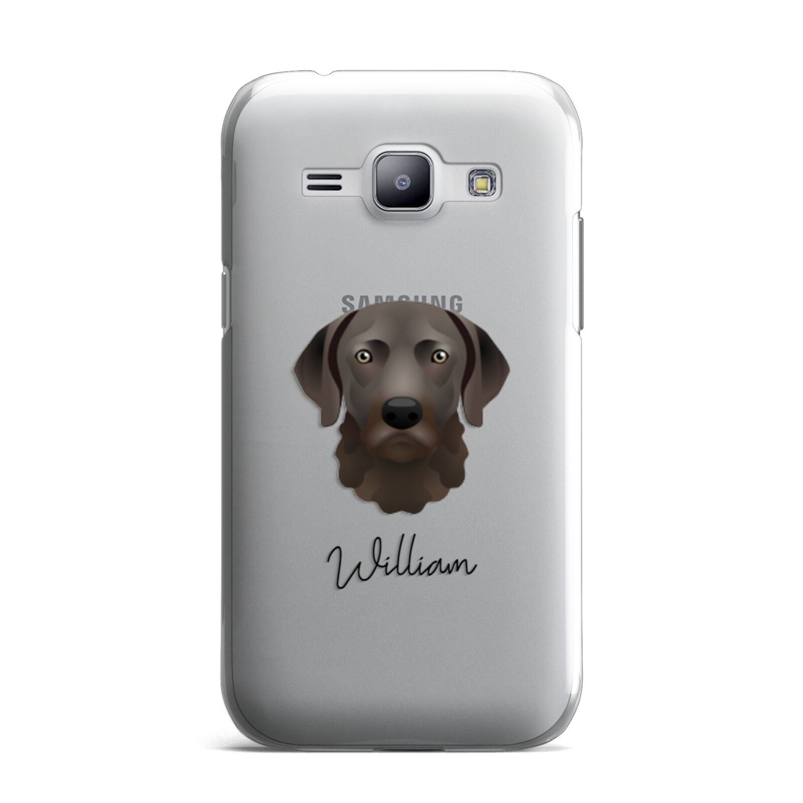 Chesapeake Bay Retriever Personalised Samsung Galaxy J1 2015 Case