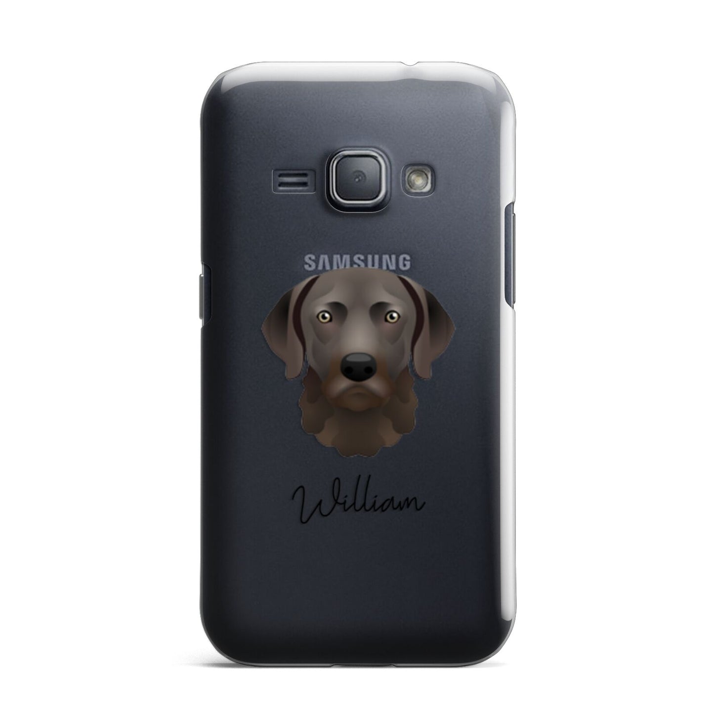 Chesapeake Bay Retriever Personalised Samsung Galaxy J1 2016 Case