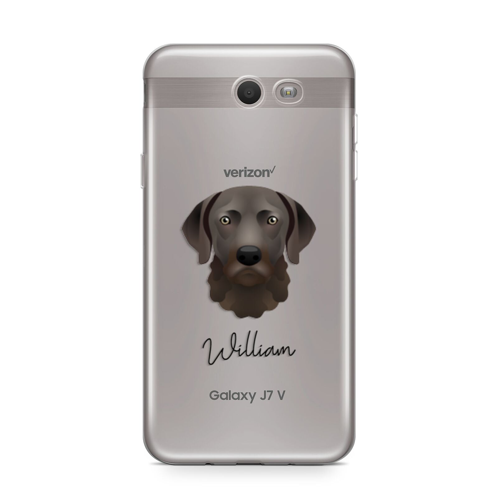 Chesapeake Bay Retriever Personalised Samsung Galaxy J7 2017 Case