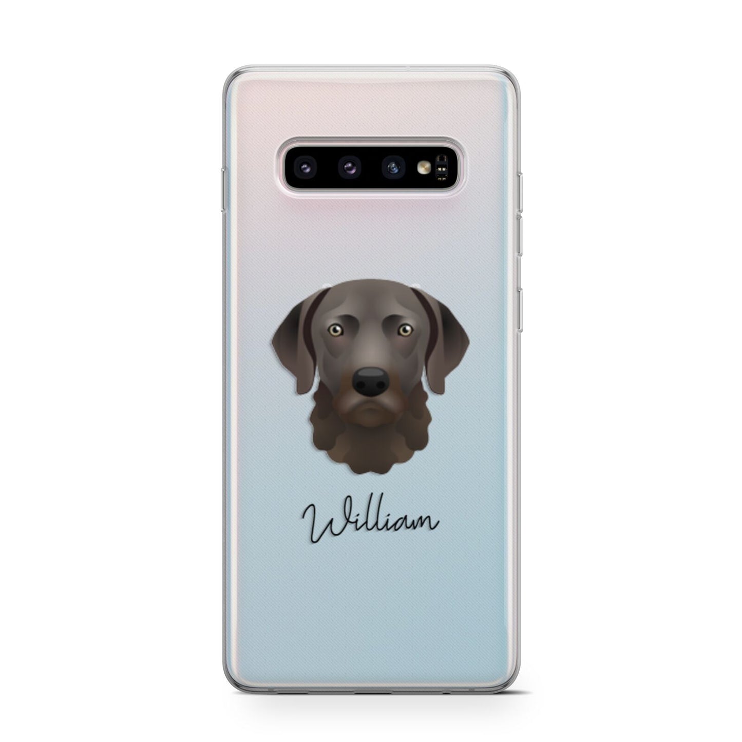 Chesapeake Bay Retriever Personalised Samsung Galaxy S10 Case