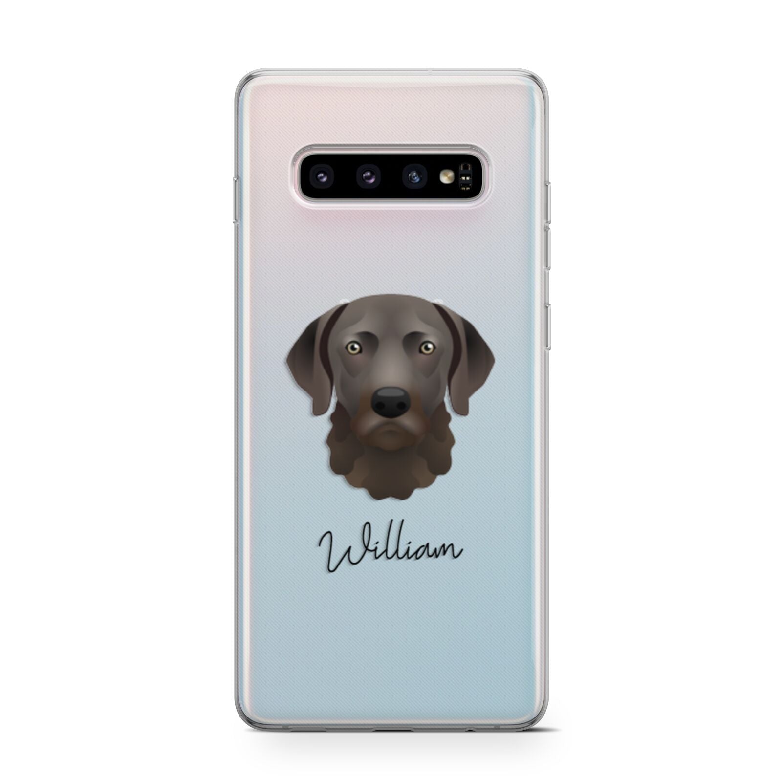 Chesapeake Bay Retriever Personalised Samsung Galaxy S10 Case