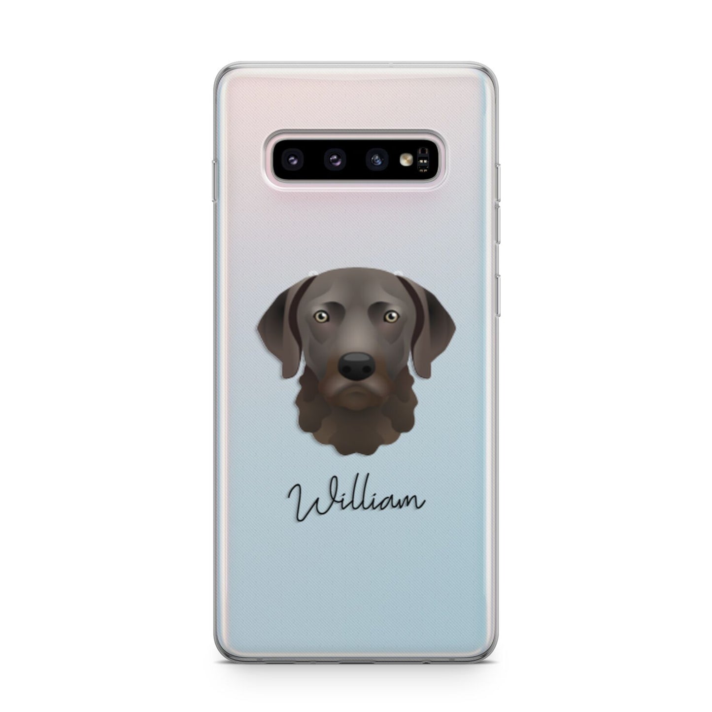 Chesapeake Bay Retriever Personalised Samsung Galaxy S10 Plus Case