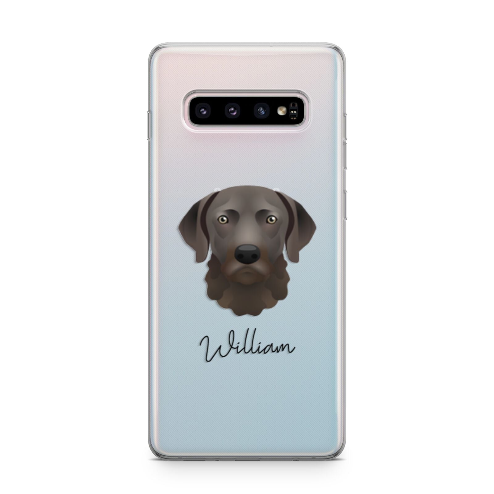 Chesapeake Bay Retriever Personalised Samsung Galaxy S10 Plus Case