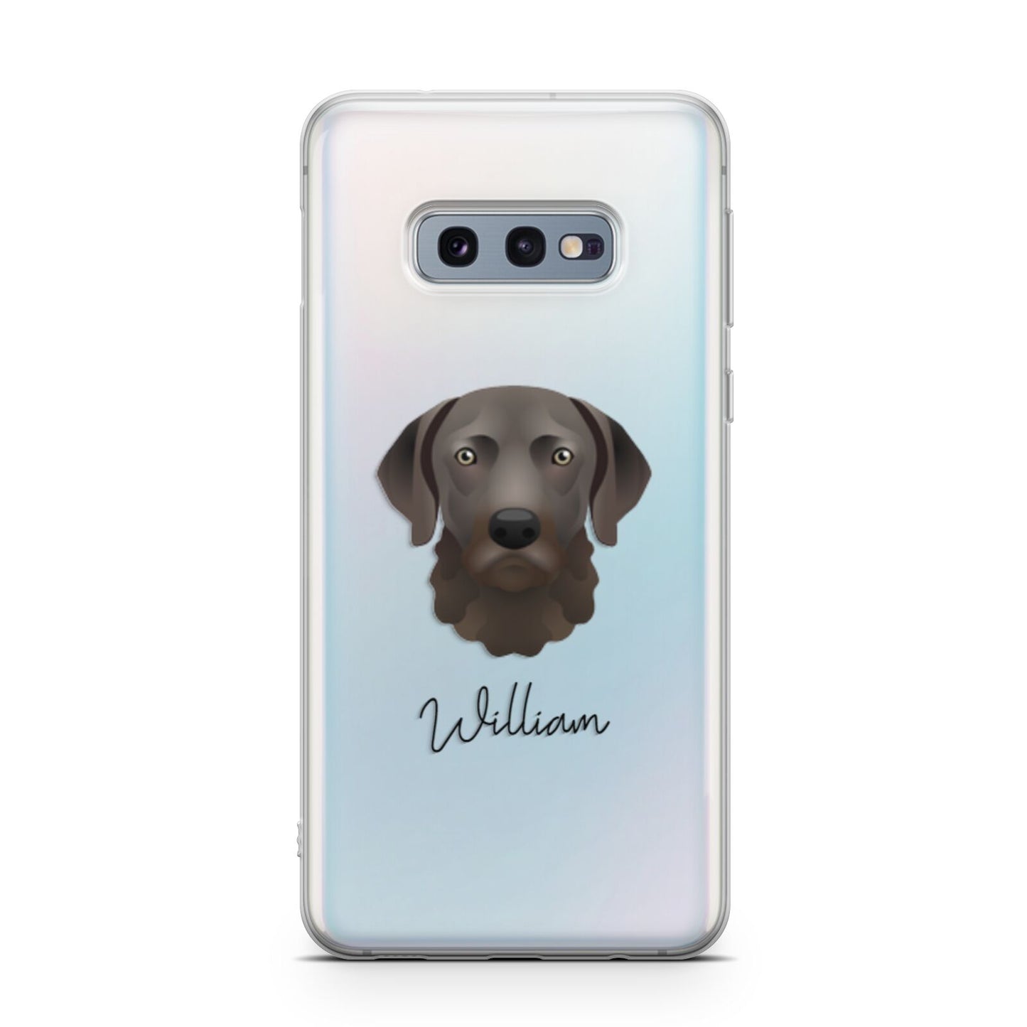 Chesapeake Bay Retriever Personalised Samsung Galaxy S10E Case