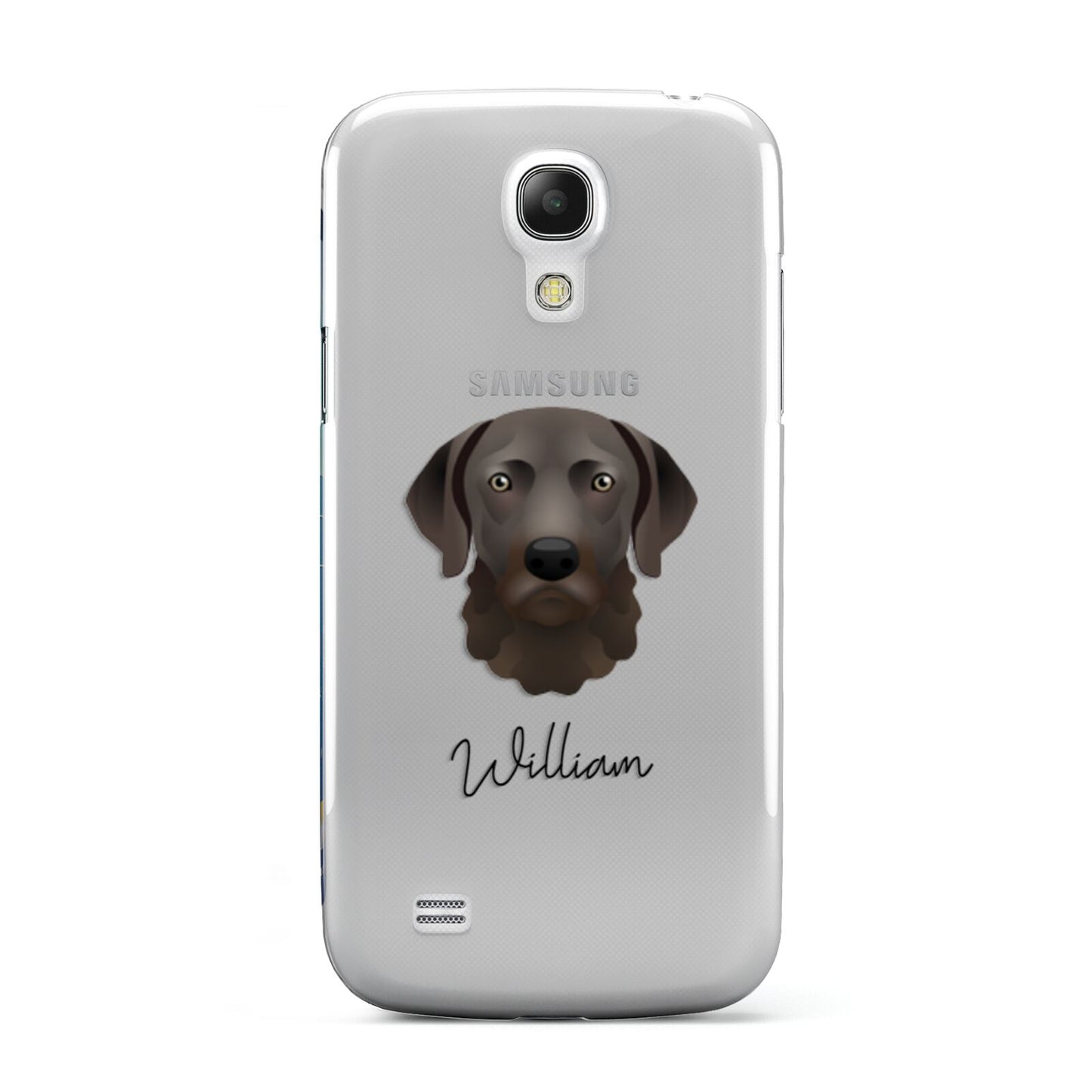 Chesapeake Bay Retriever Personalised Samsung Galaxy S4 Mini Case