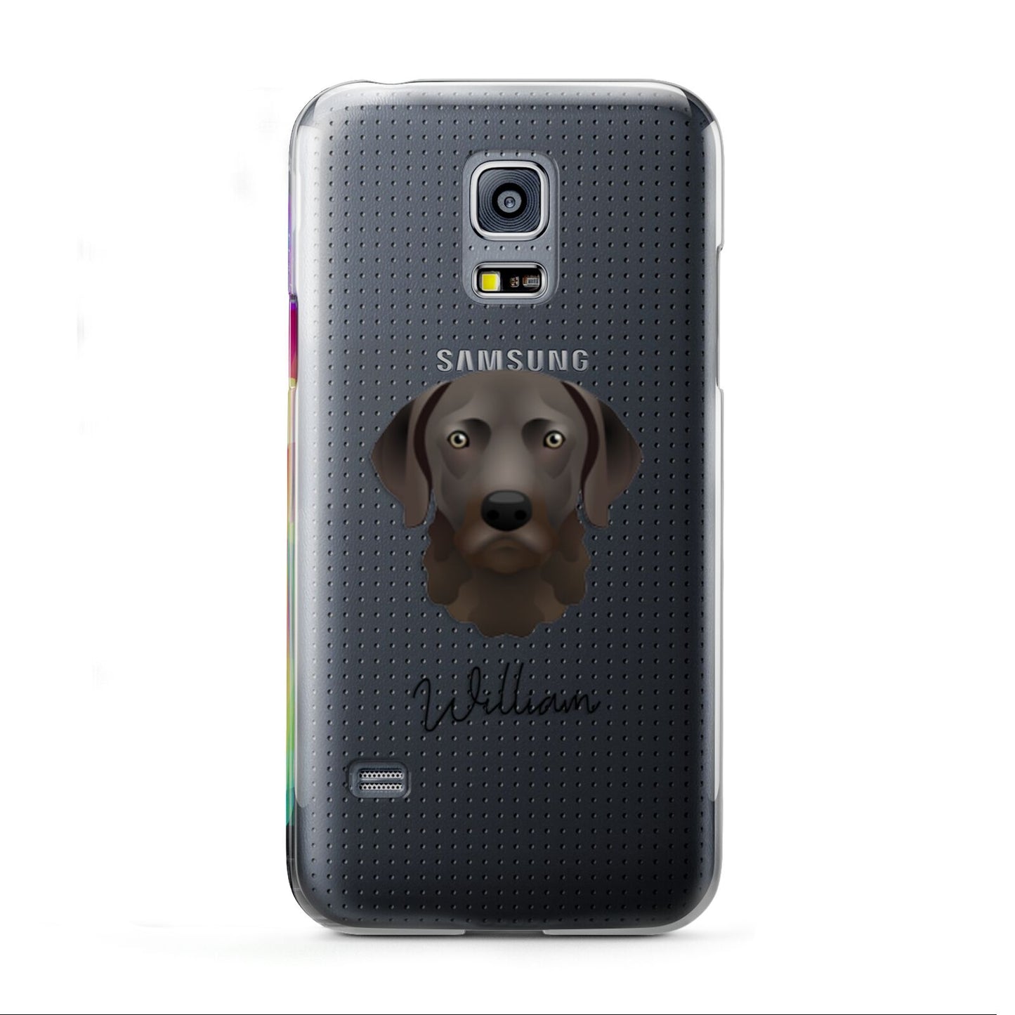 Chesapeake Bay Retriever Personalised Samsung Galaxy S5 Mini Case