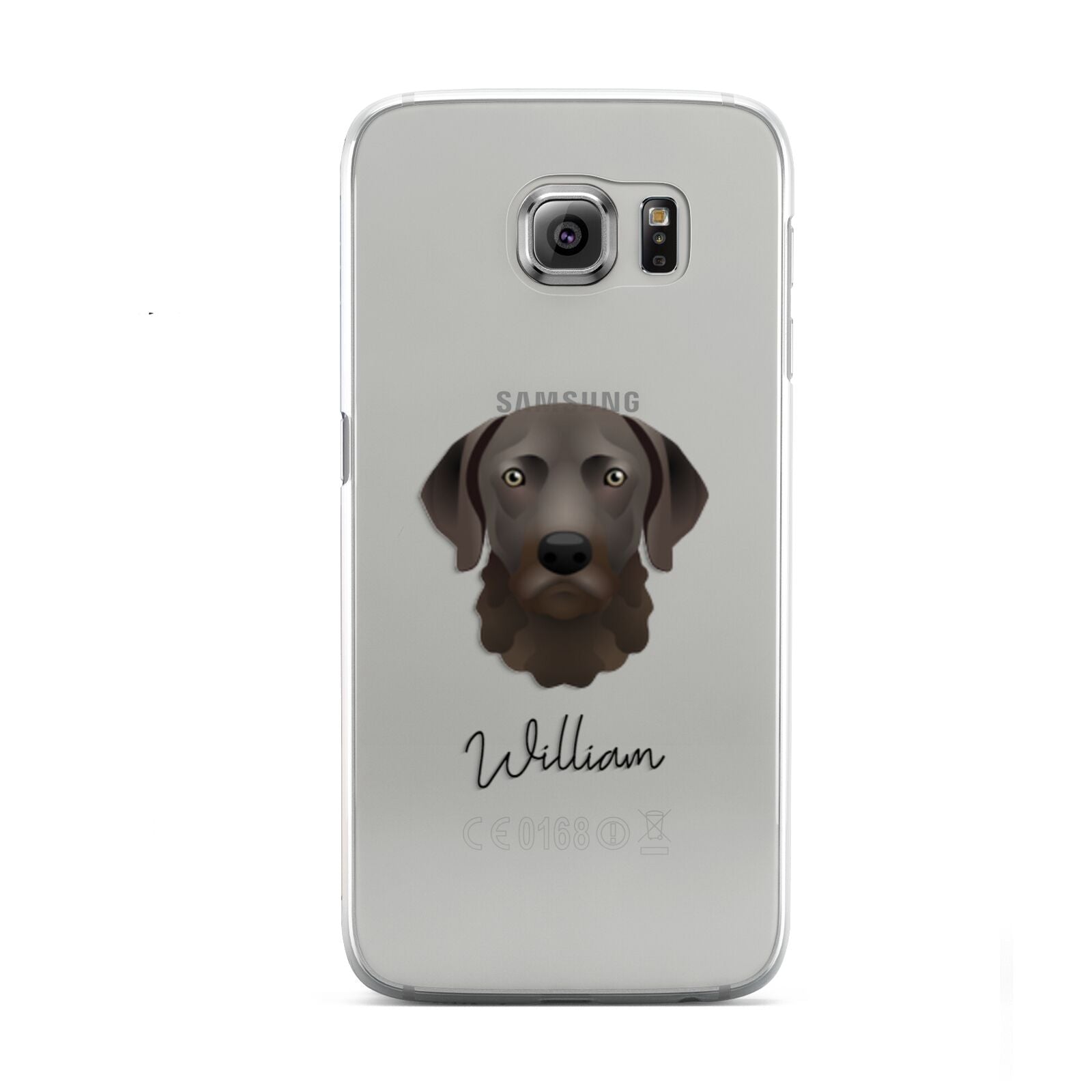 Chesapeake Bay Retriever Personalised Samsung Galaxy S6 Case