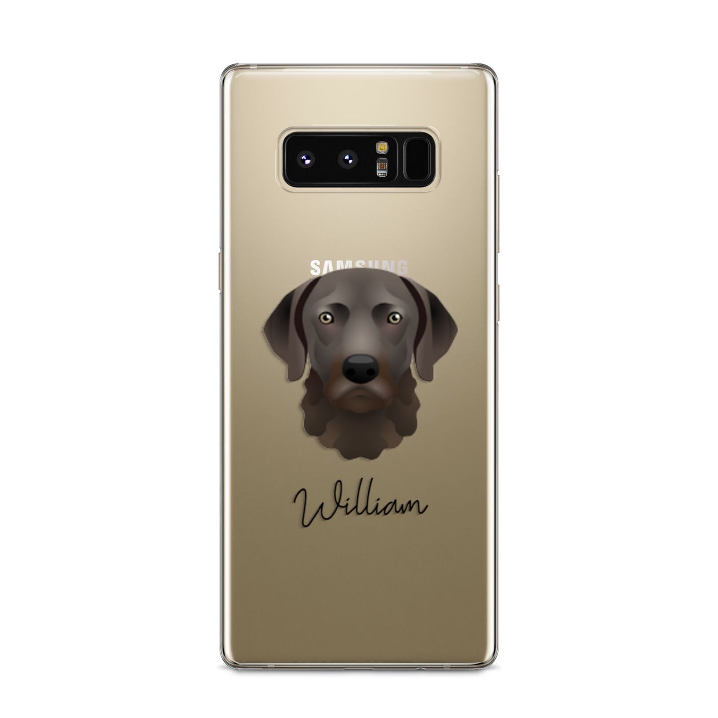 Chesapeake Bay Retriever Personalised Samsung Galaxy S8 Case