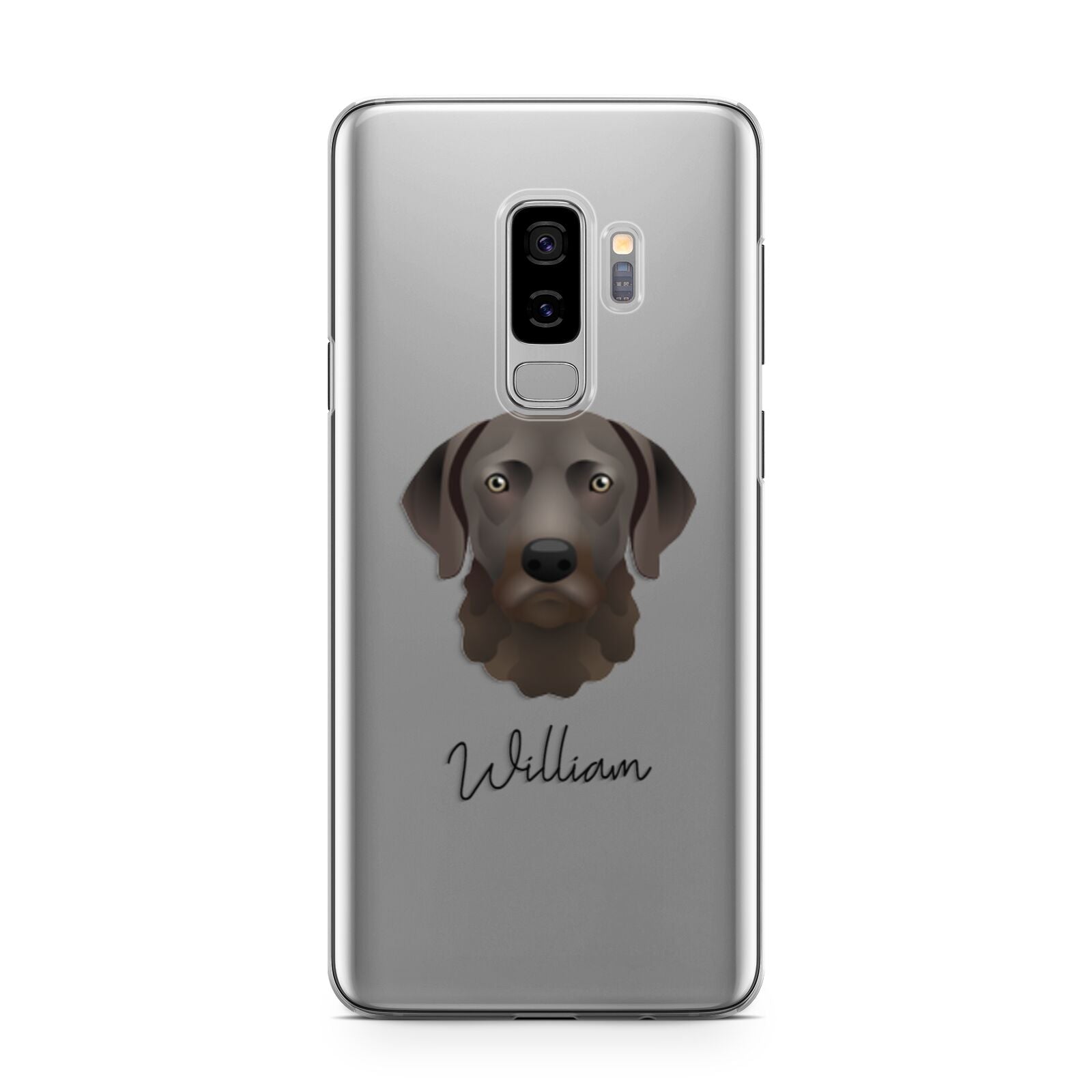 Chesapeake Bay Retriever Personalised Samsung Galaxy S9 Plus Case on Silver phone