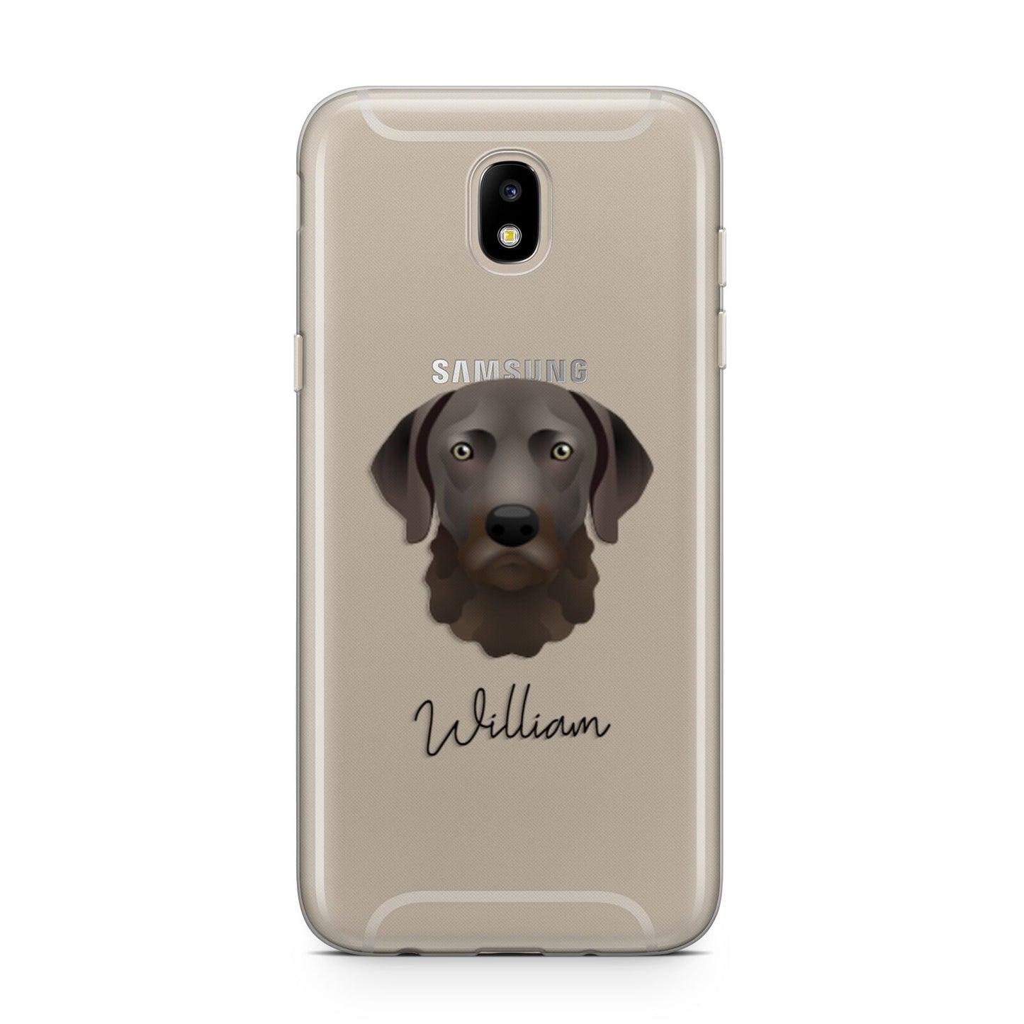 Chesapeake Bay Retriever Personalised Samsung J5 2017 Case