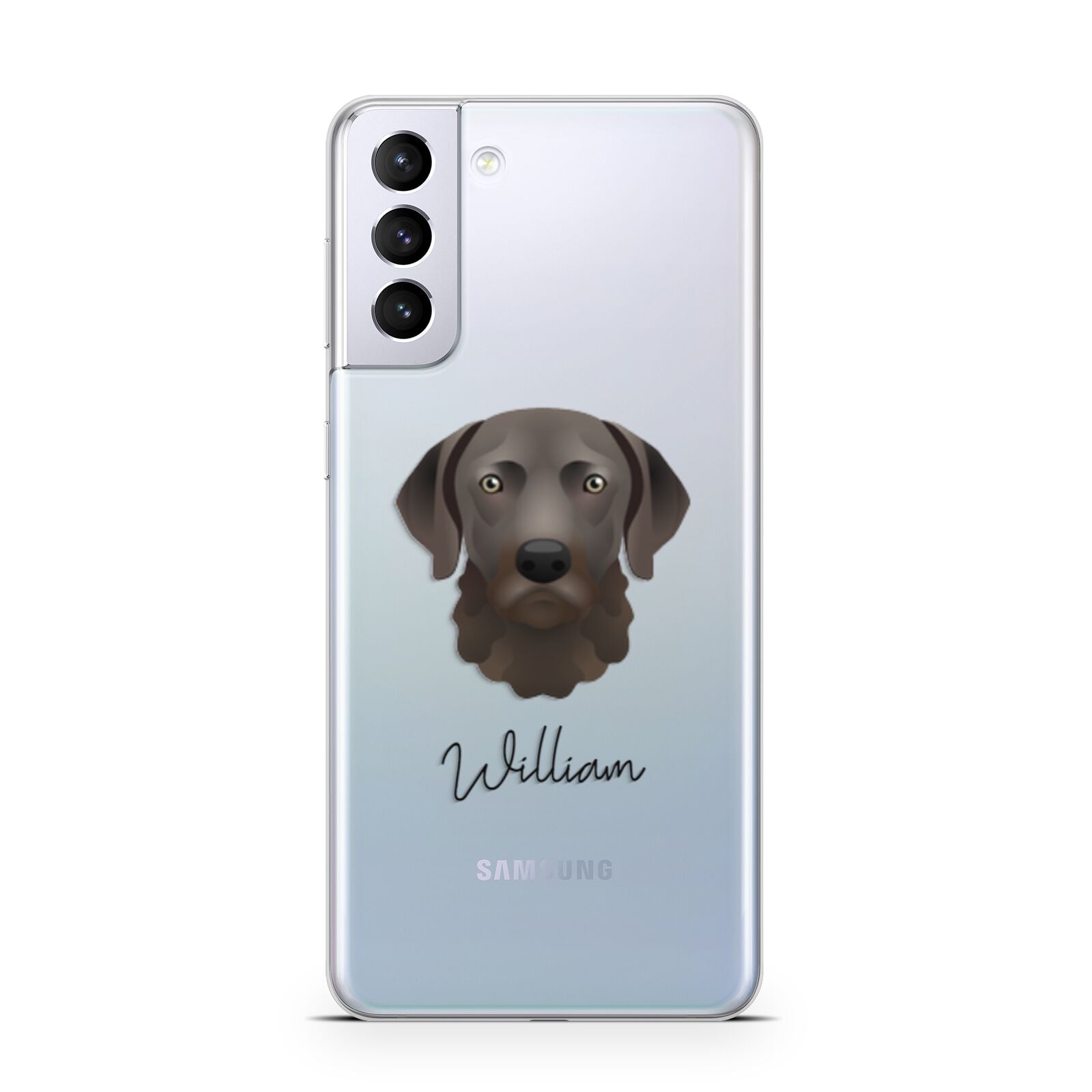 Chesapeake Bay Retriever Personalised Samsung S21 Plus Phone Case