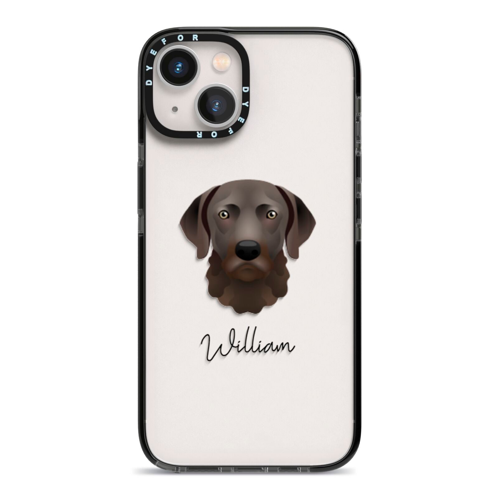 Chesapeake Bay Retriever Personalised iPhone 13 Black Impact Case on Silver phone