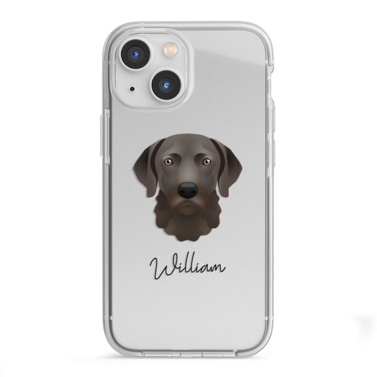 Chesapeake Bay Retriever Personalised iPhone 13 Mini TPU Impact Case with White Edges