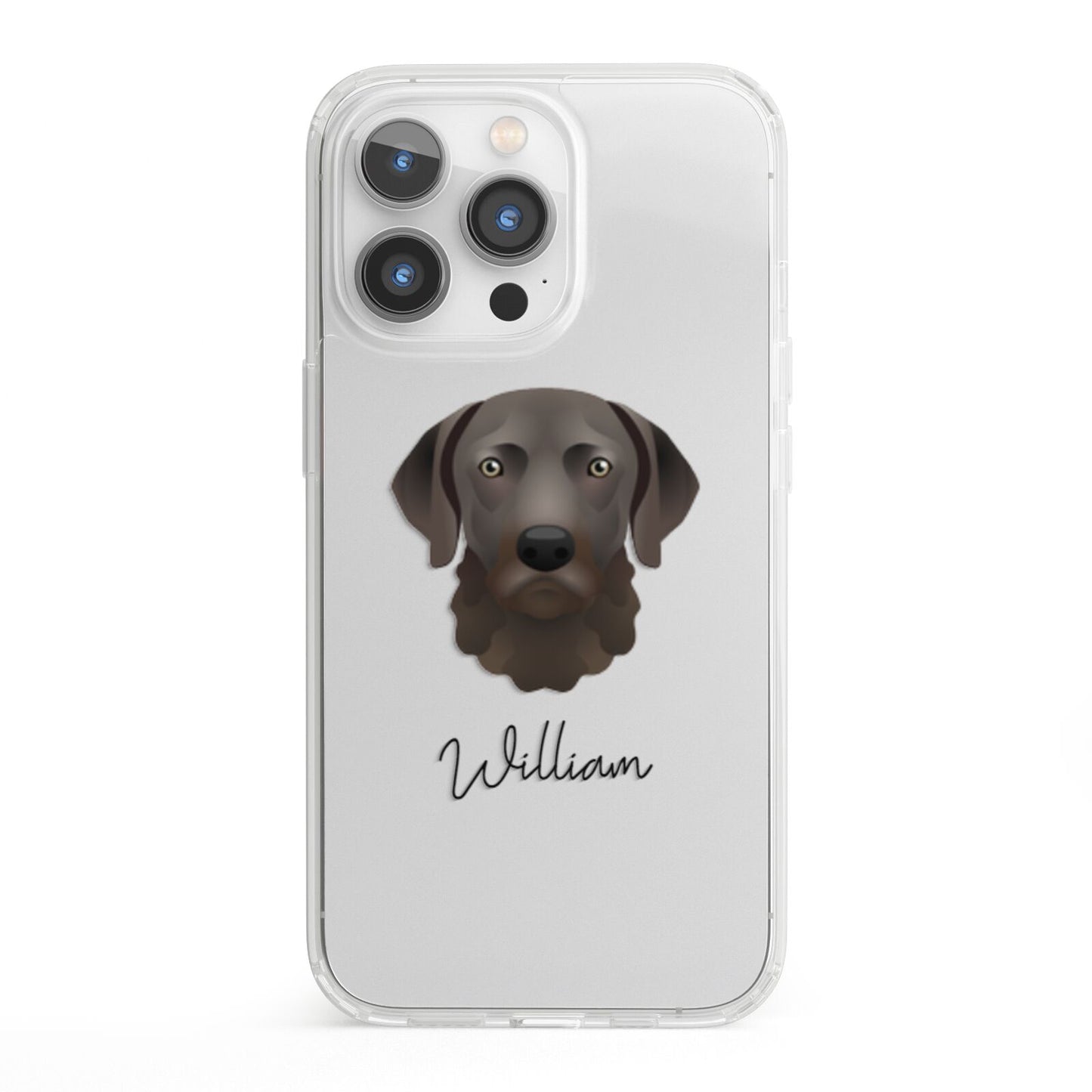 Chesapeake Bay Retriever Personalised iPhone 13 Pro Clear Bumper Case