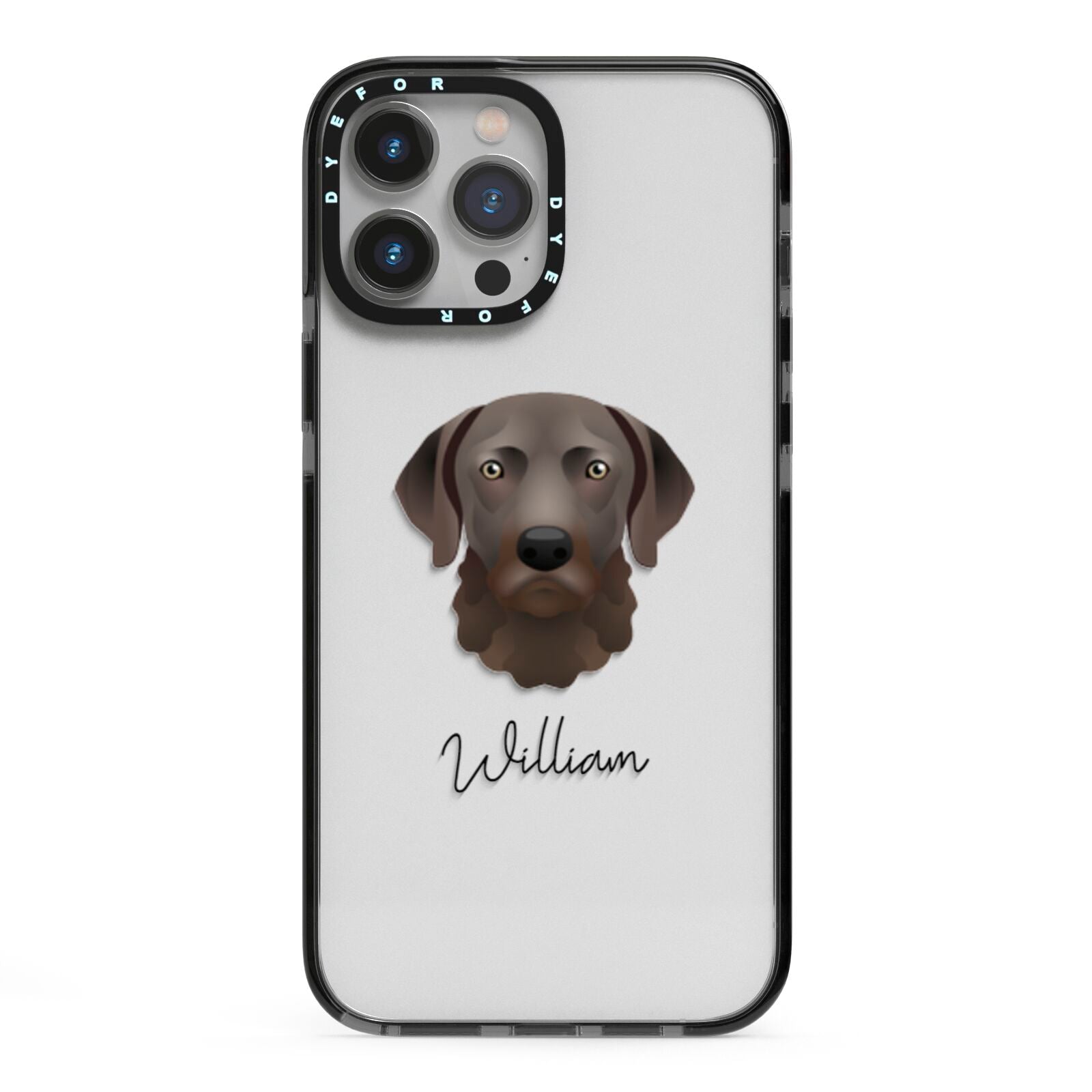 Chesapeake Bay Retriever Personalised iPhone 13 Pro Max Black Impact Case on Silver phone