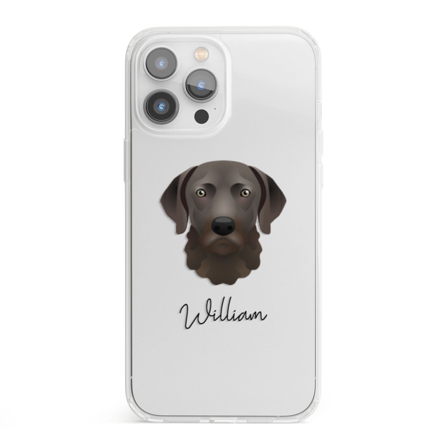 Chesapeake Bay Retriever Personalised iPhone 13 Pro Max Clear Bumper Case