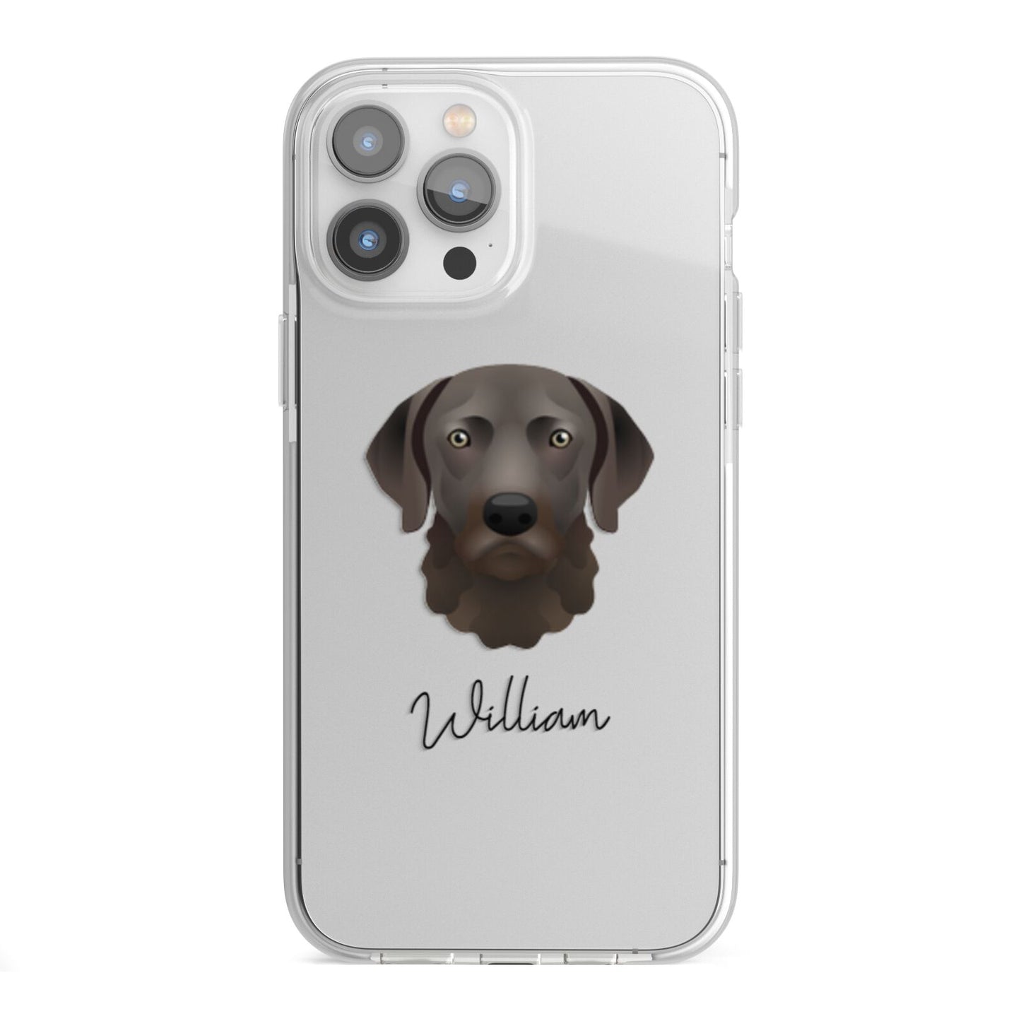 Chesapeake Bay Retriever Personalised iPhone 13 Pro Max TPU Impact Case with White Edges