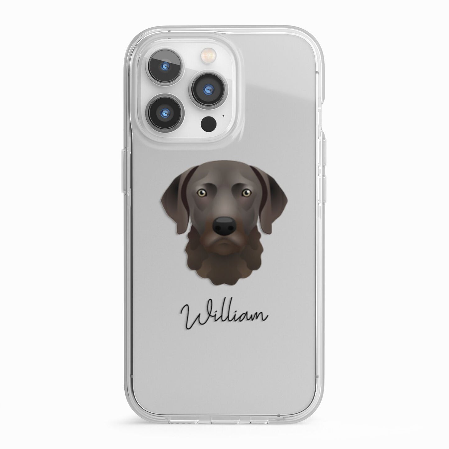 Chesapeake Bay Retriever Personalised iPhone 13 Pro TPU Impact Case with White Edges