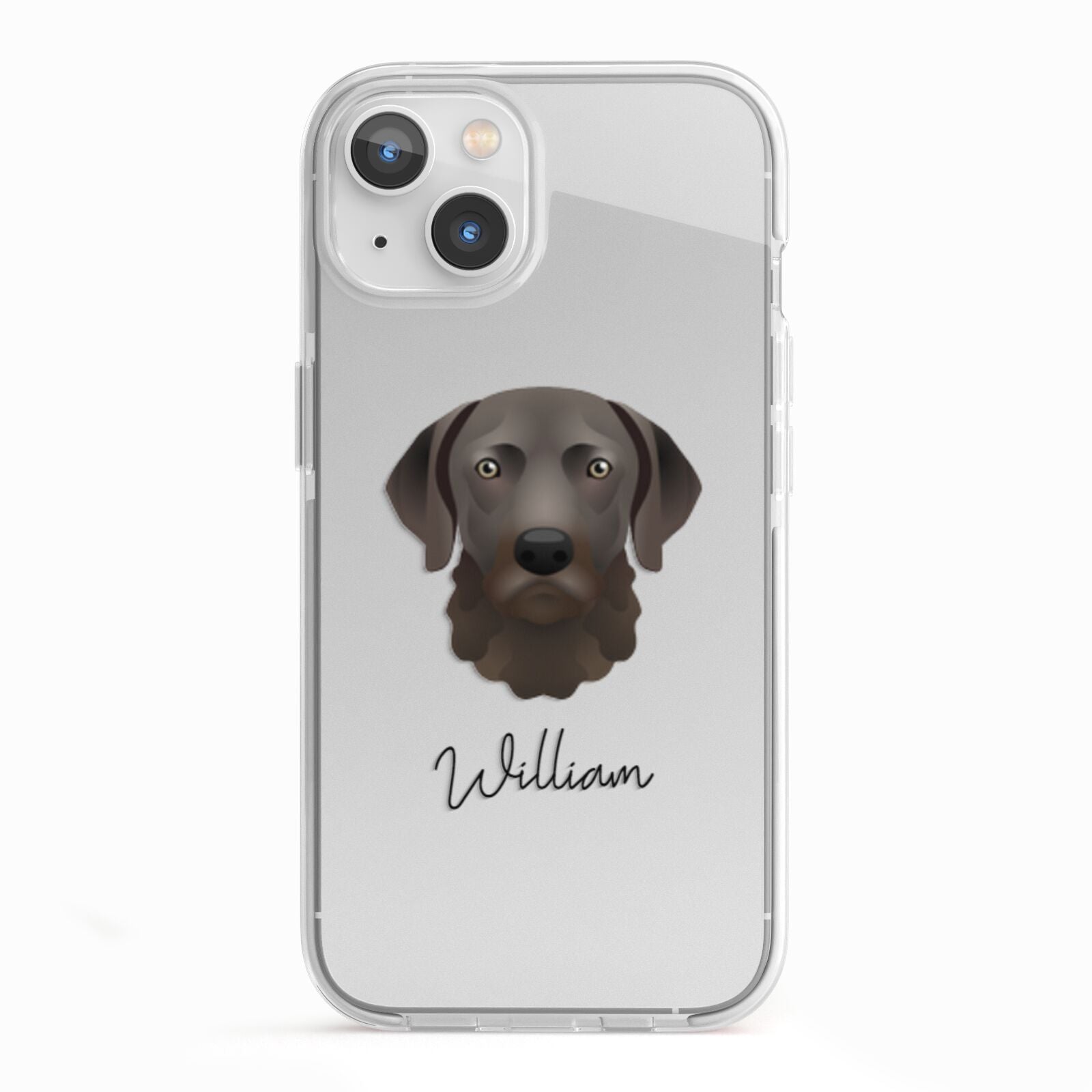 Chesapeake Bay Retriever Personalised iPhone 13 TPU Impact Case with White Edges