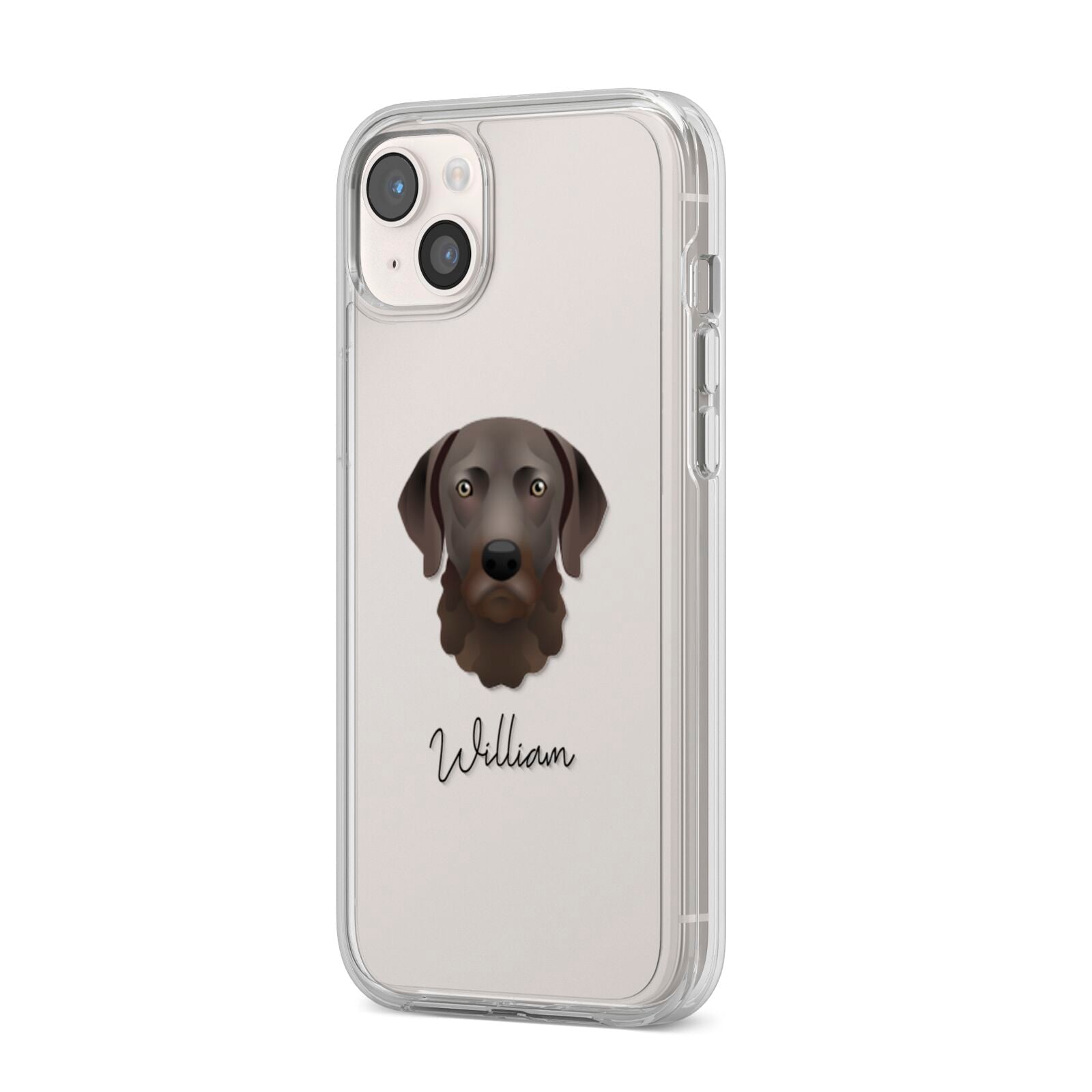 Chesapeake Bay Retriever Personalised iPhone 14 Plus Clear Tough Case Starlight Angled Image