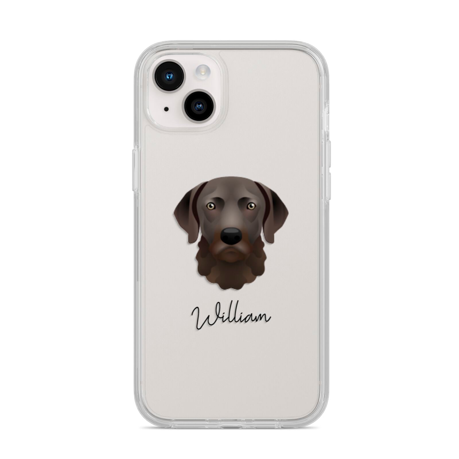 Chesapeake Bay Retriever Personalised iPhone 14 Plus Clear Tough Case Starlight