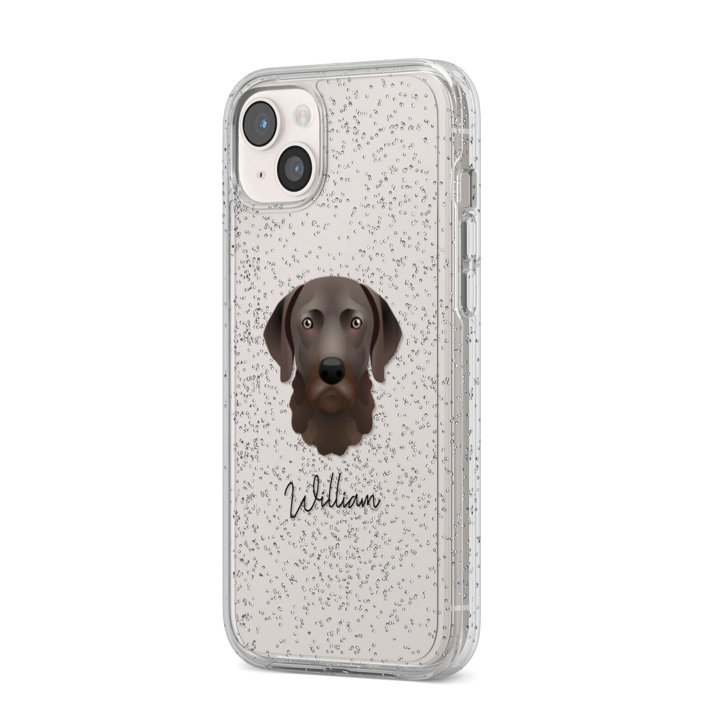 Chesapeake Bay Retriever Personalised iPhone 14 Plus Glitter Tough Case Starlight Angled Image