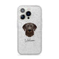 Chesapeake Bay Retriever Personalised iPhone 14 Pro Glitter Tough Case Silver