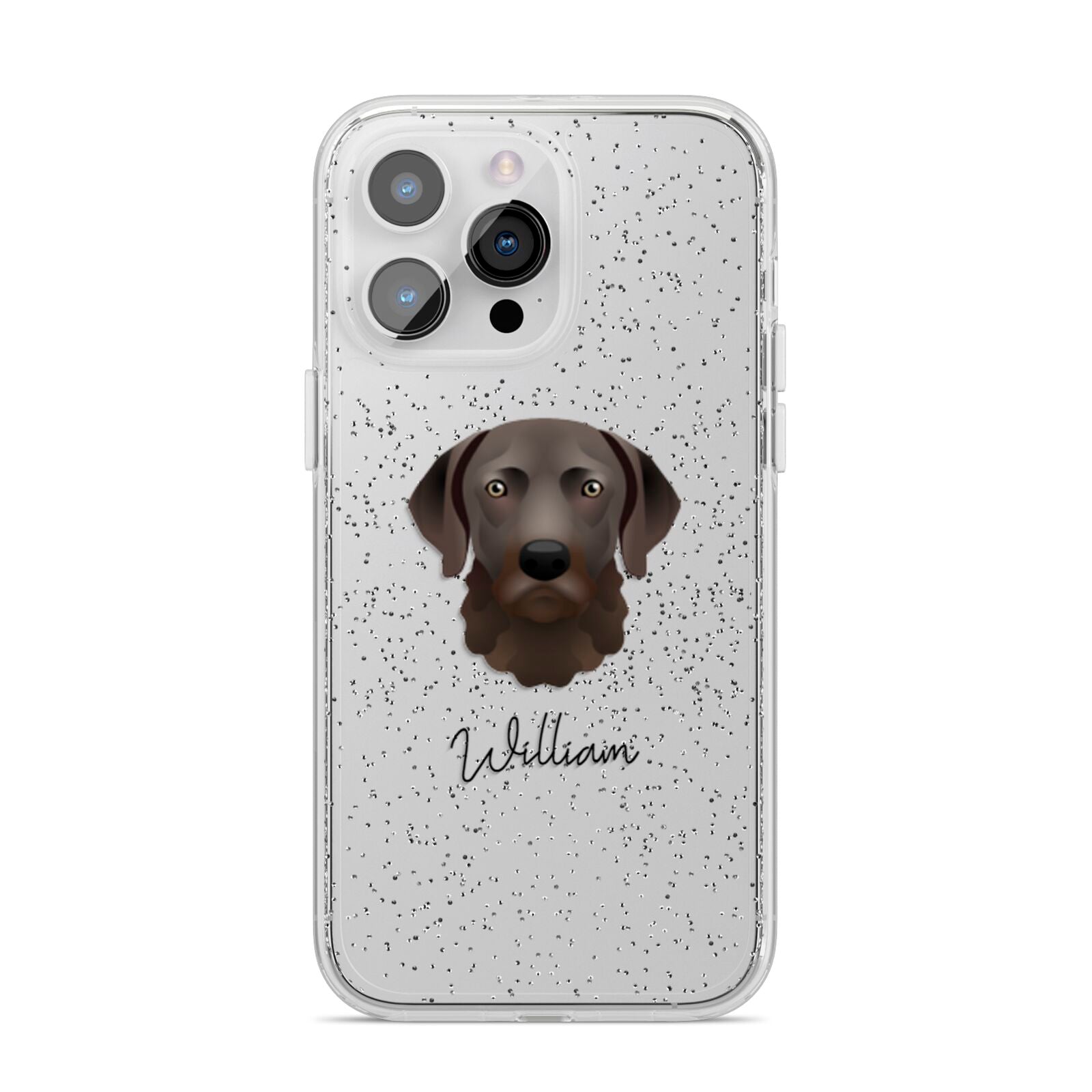 Chesapeake Bay Retriever Personalised iPhone 14 Pro Max Glitter Tough Case Silver