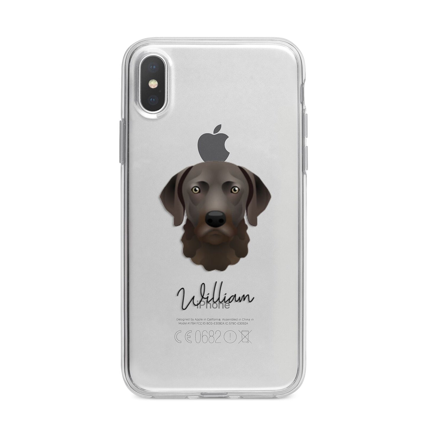 Chesapeake Bay Retriever Personalised iPhone X Bumper Case on Silver iPhone Alternative Image 1