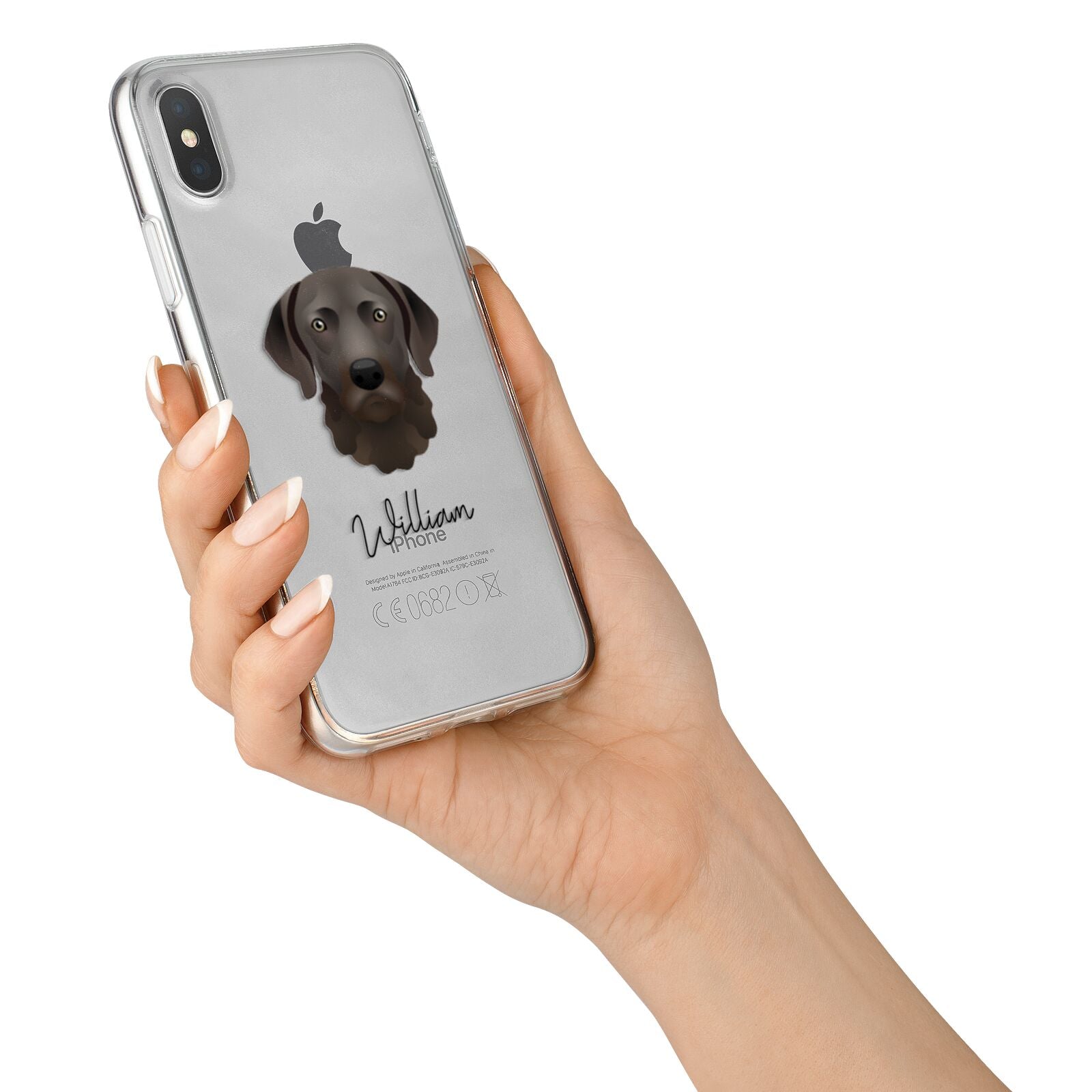 Chesapeake Bay Retriever Personalised iPhone X Bumper Case on Silver iPhone Alternative Image 2