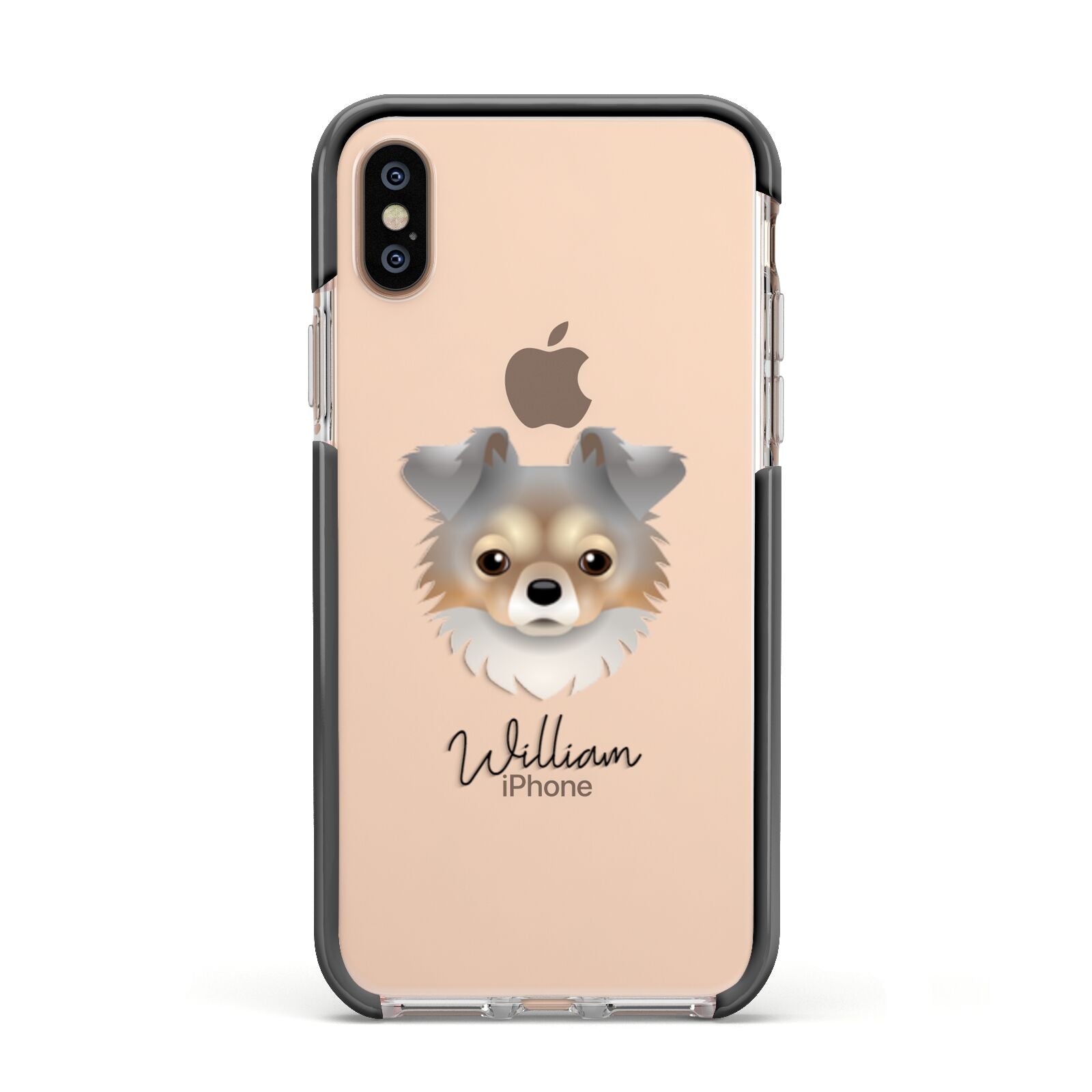 Chorkie Personalised Apple iPhone Xs Impact Case Black Edge on Gold Phone