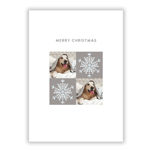 Christmas Dog Photo Greetings Card