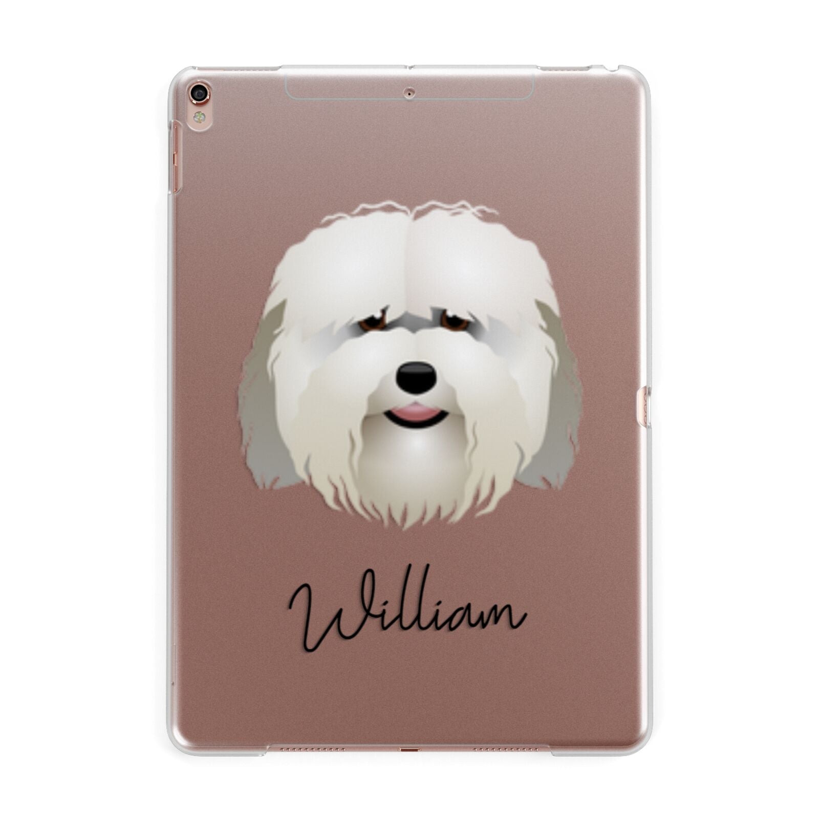 Coton De Tulear Personalised Apple iPad Rose Gold Case