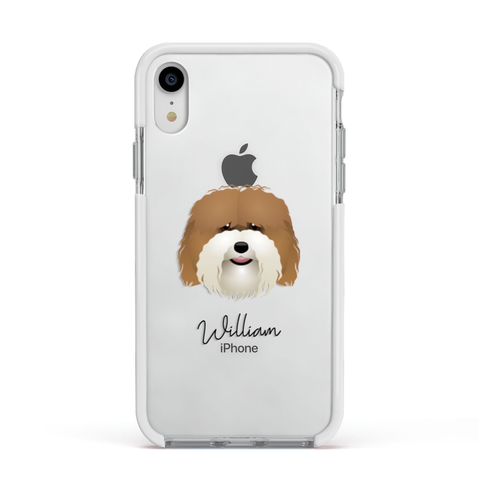 Coton De Tulear Personalised Apple iPhone XR Impact Case White Edge on Silver Phone