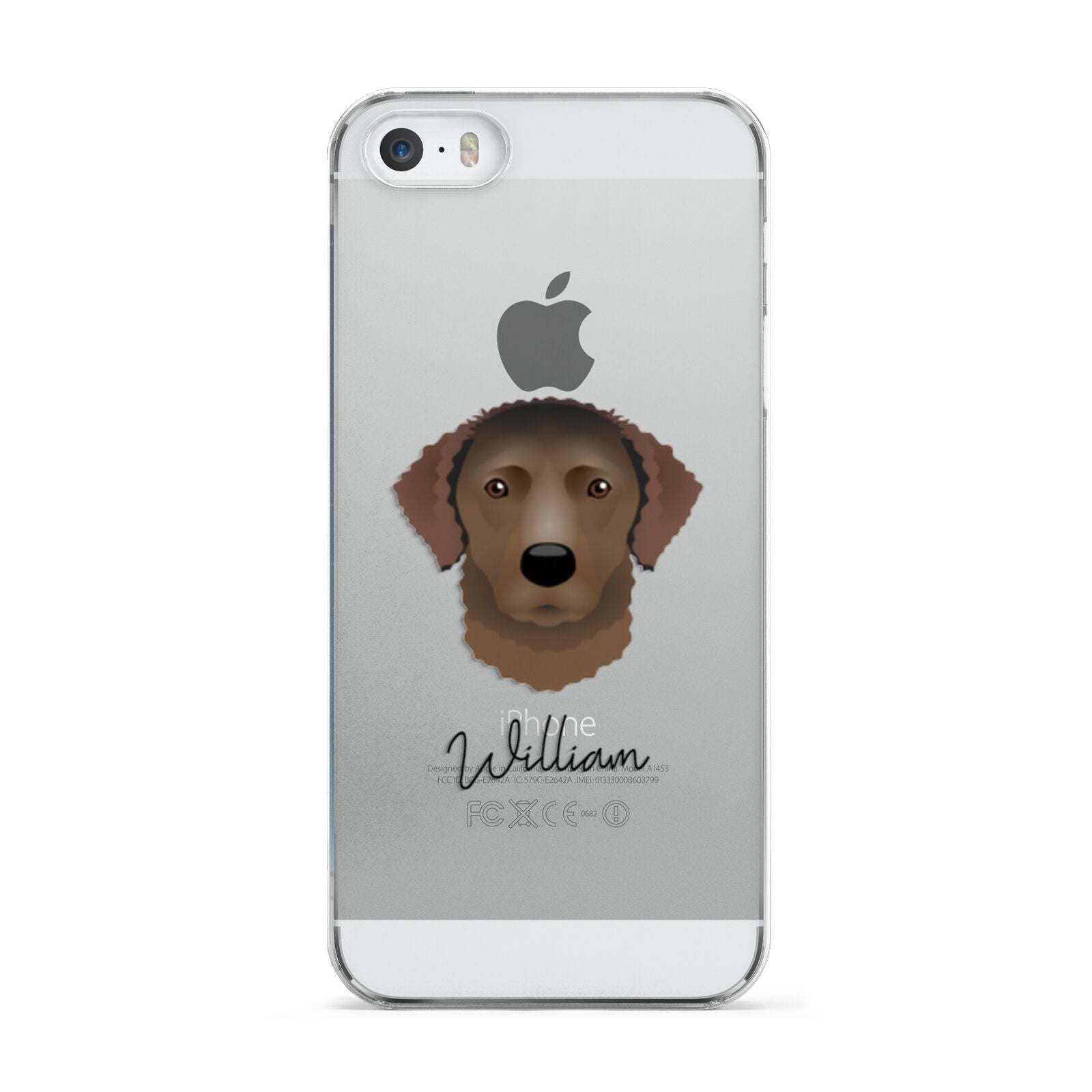 Curly Coated Retriever Personalised Apple iPhone 5 Case