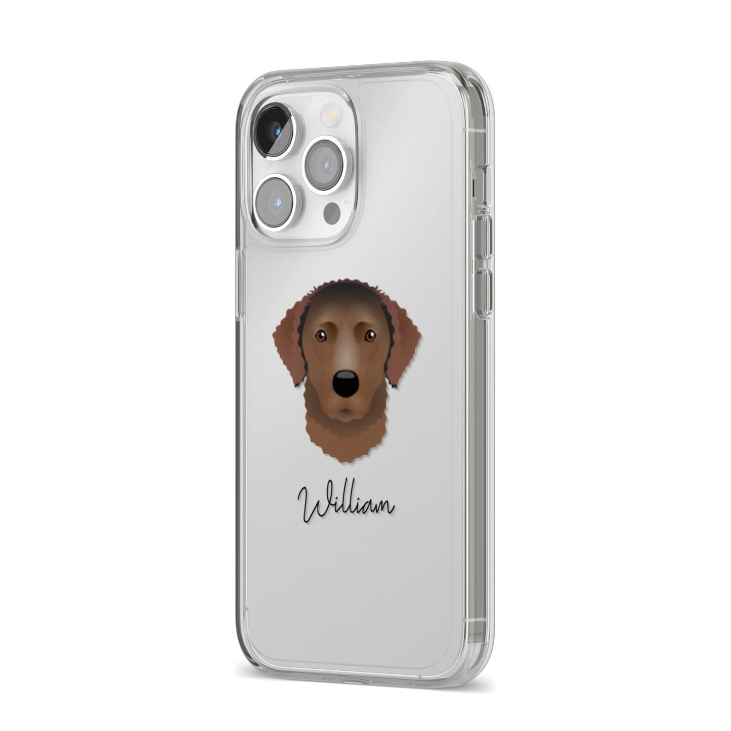 Curly Coated Retriever Personalised iPhone 14 Pro Max Clear Tough Case Silver Angled Image