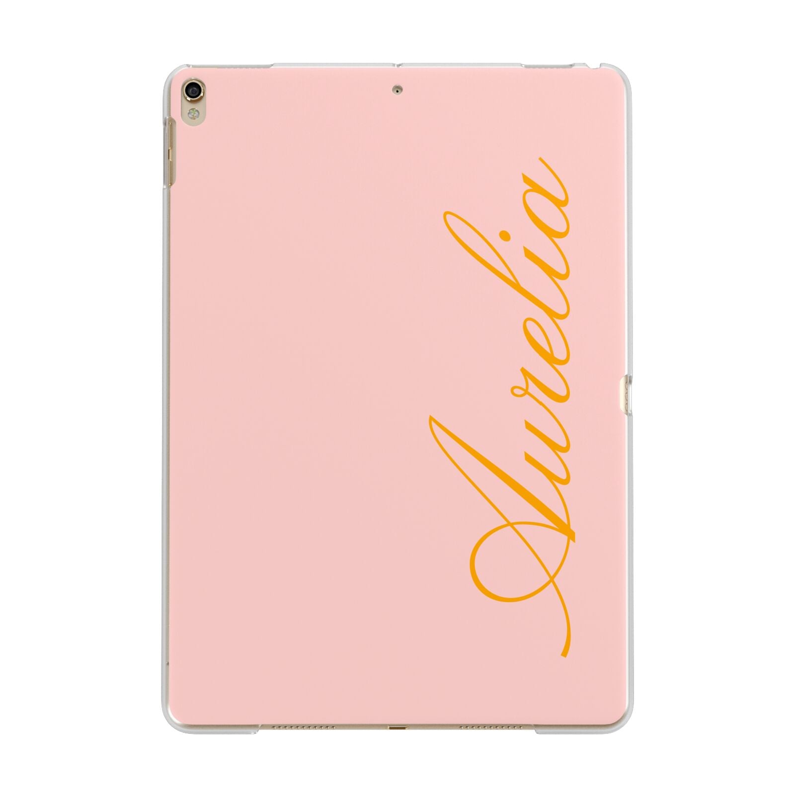 Custom Apple iPad Gold Case