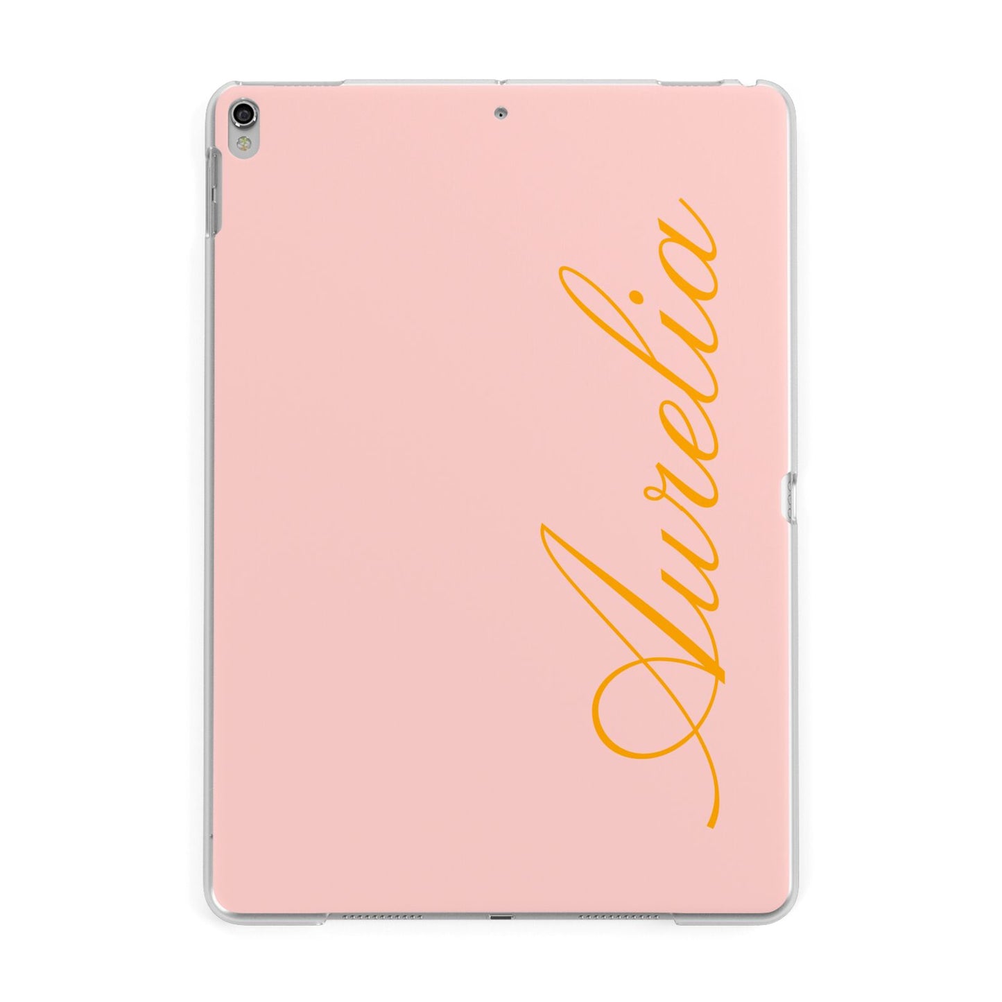 Custom Apple iPad Silver Case