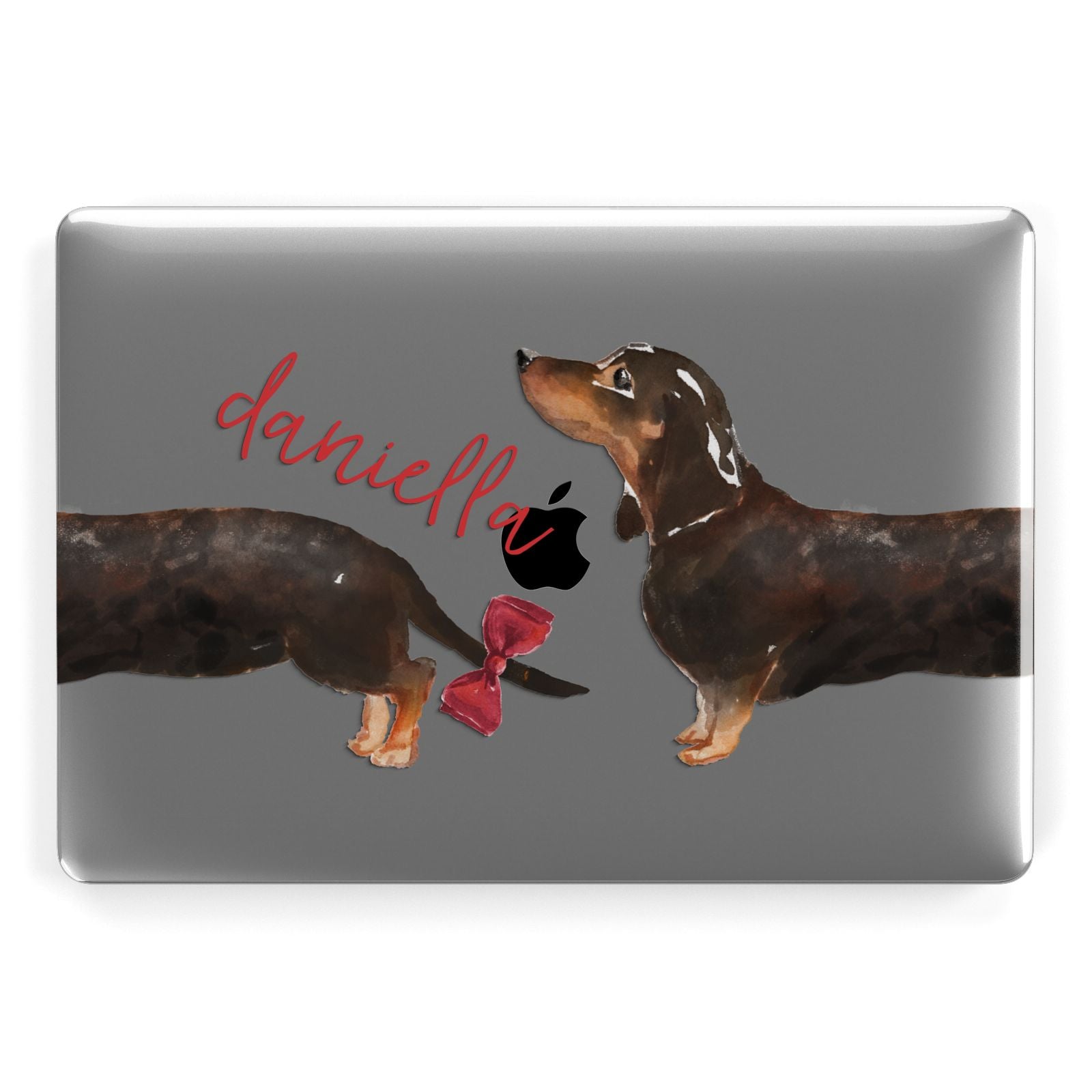 Apple dachshund 2024