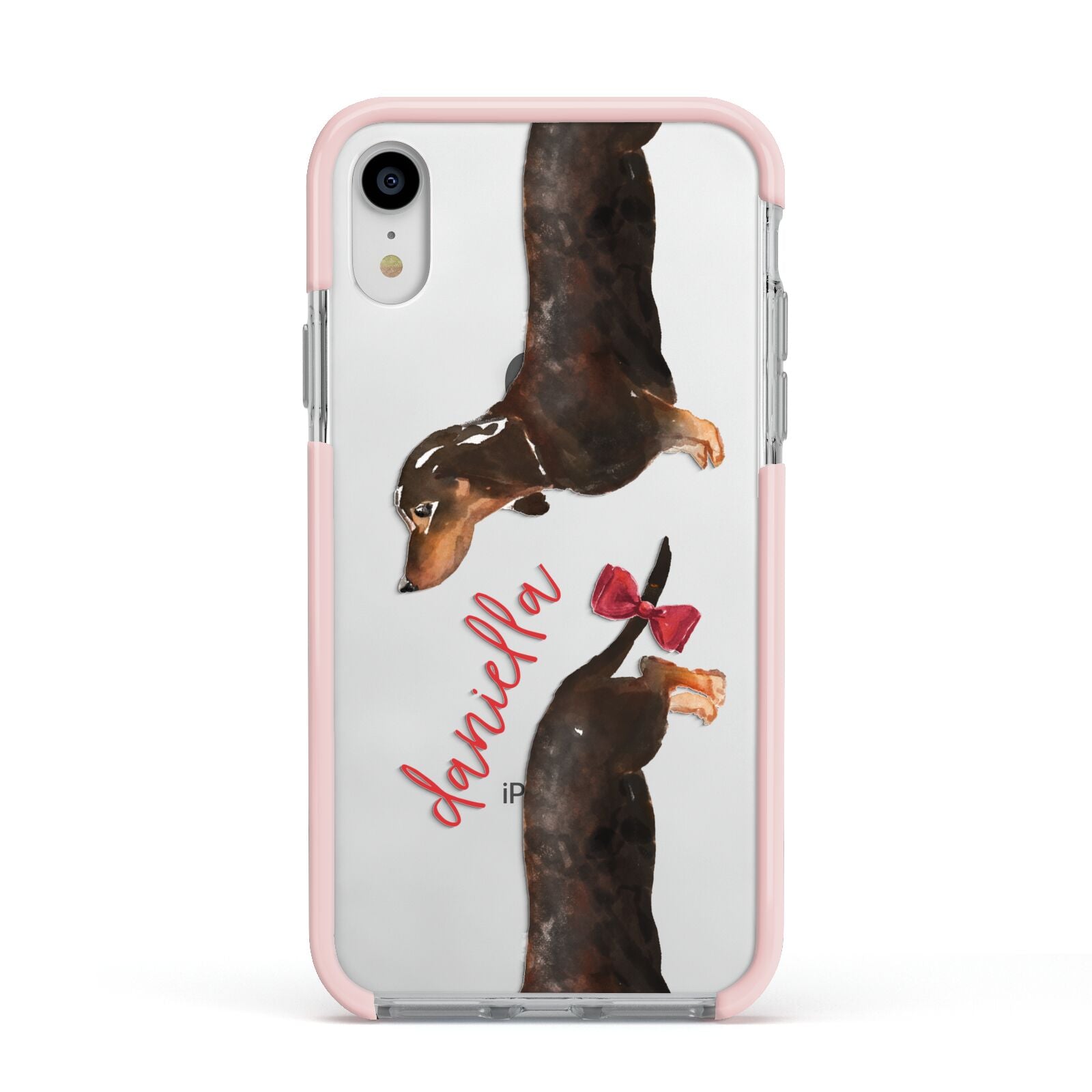 Custom Dachshund Apple iPhone XR Impact Case Pink Edge on Silver Phone