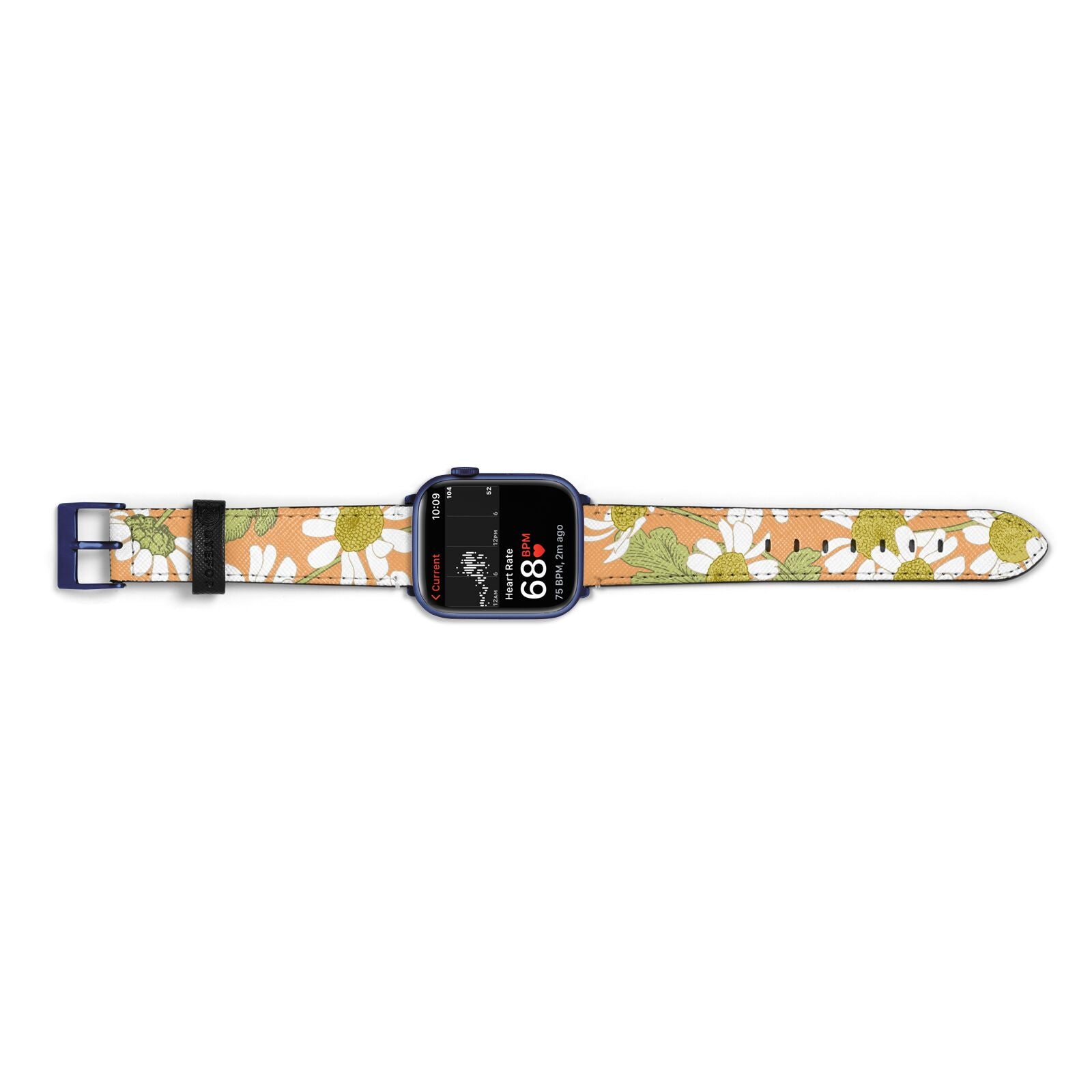 Daisies Apple Watch Strap Size 38mm Landscape Image Blue Hardware