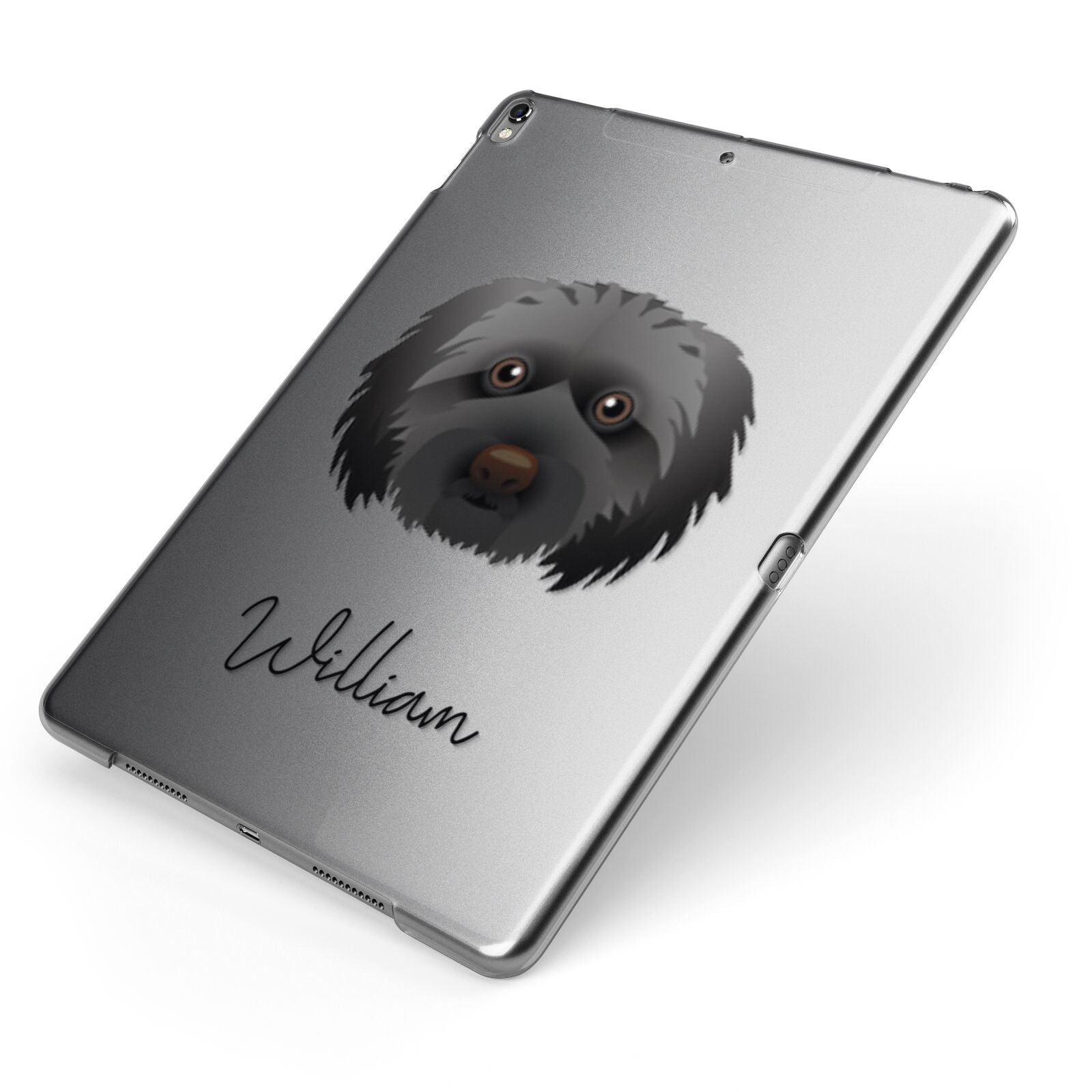 Doxiepoo Personalised Apple iPad Case on Grey iPad Side View