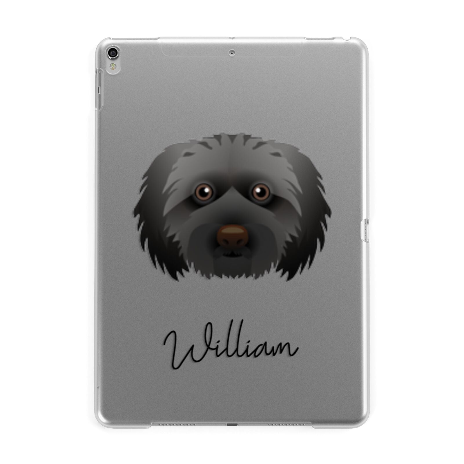 Doxiepoo Personalised Apple iPad Silver Case