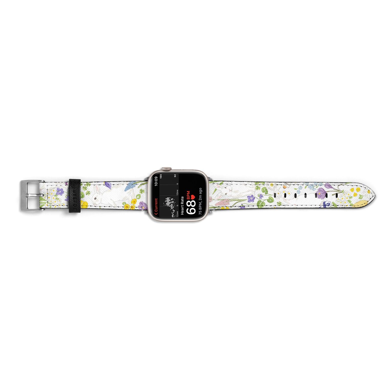 Easter Apple Watch Strap Size 38mm Landscape Image Silver Hardware