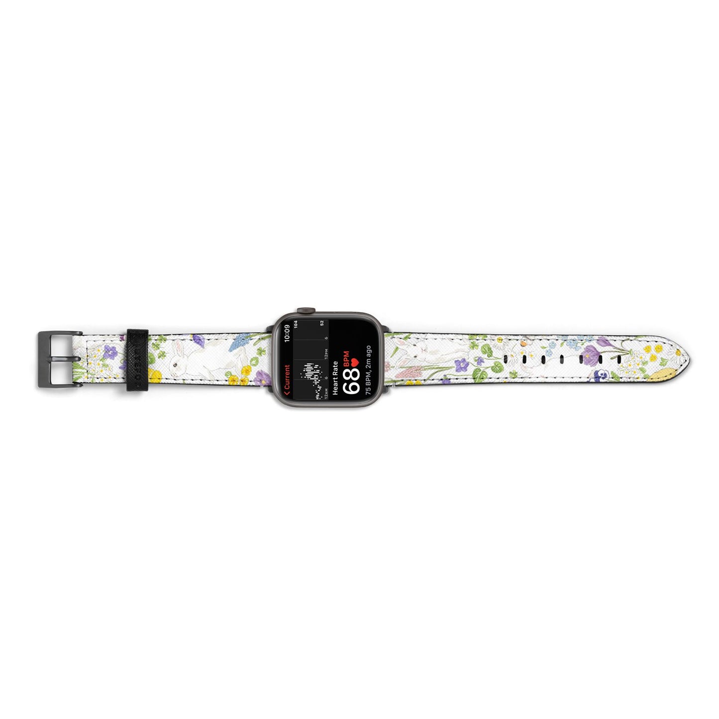 Easter Apple Watch Strap Size 38mm Landscape Image Space Grey Hardware