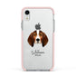 English Coonhound Personalised Apple iPhone XR Impact Case Pink Edge on Silver Phone
