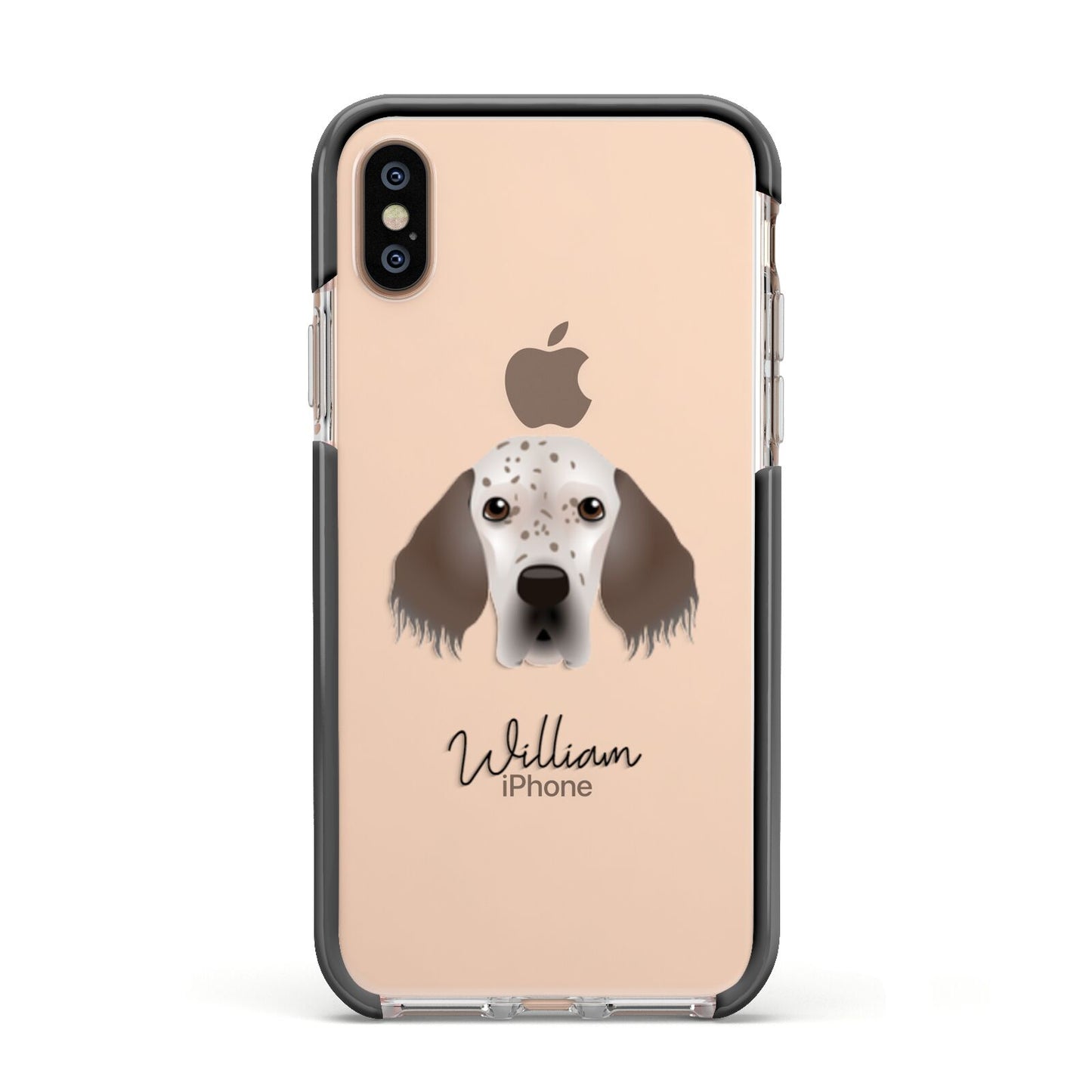 English Setter Personalised Apple iPhone Xs Impact Case Black Edge on Gold Phone